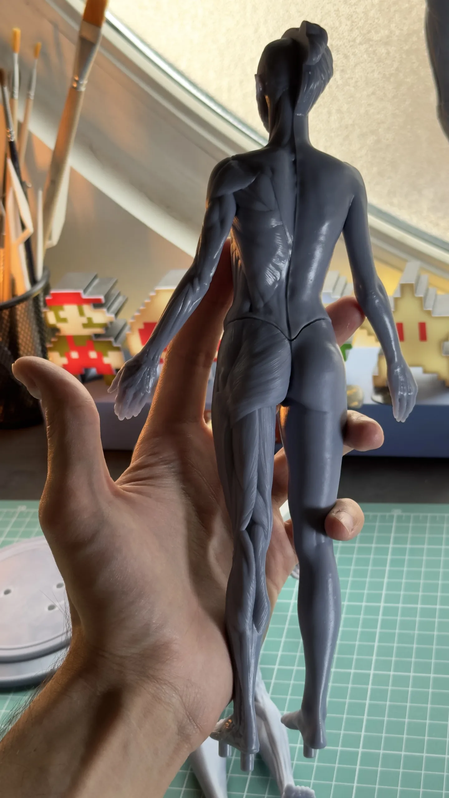 Academic Series Female Anatomy