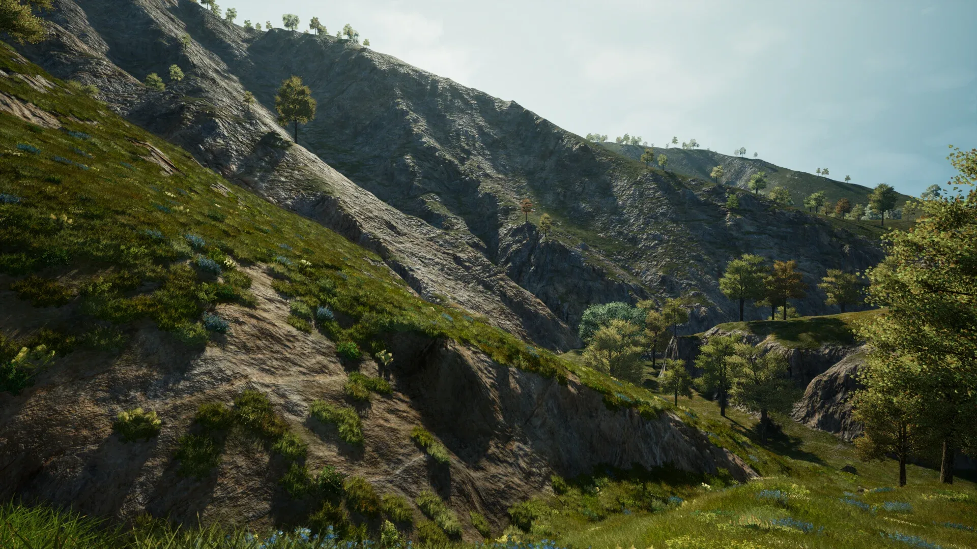 Landscape Procedural Ecosystem