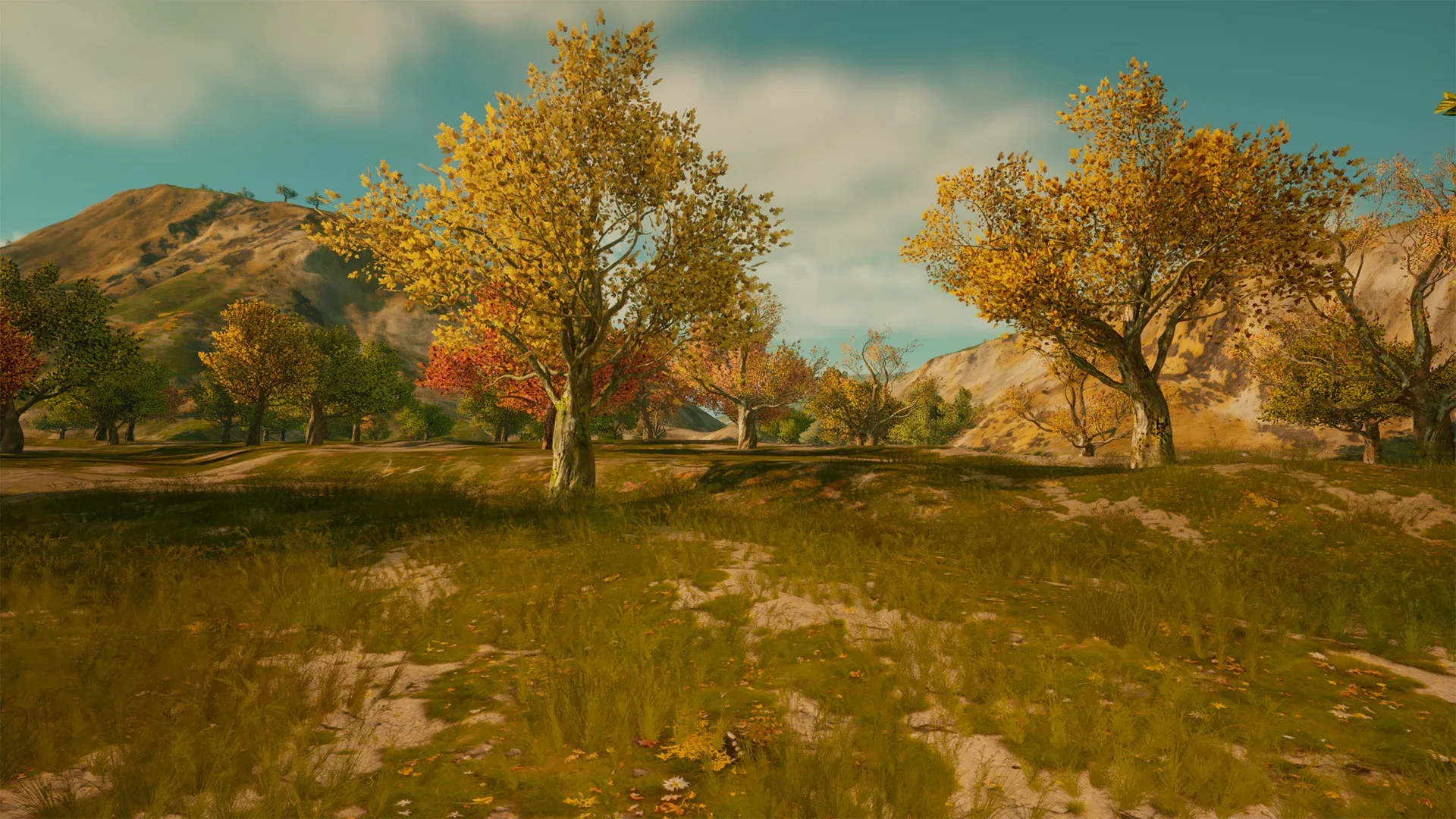 Fantasy Procedural Nature for UE5