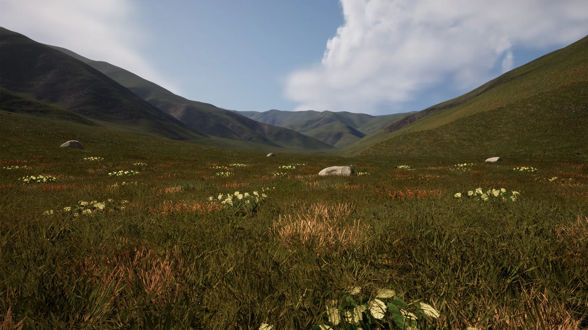 225 Square Km Grassland Ecosystem