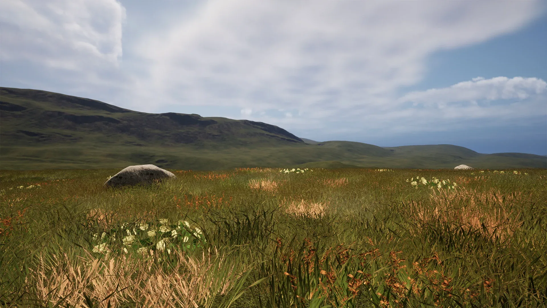 225 Square Km Grassland Ecosystem