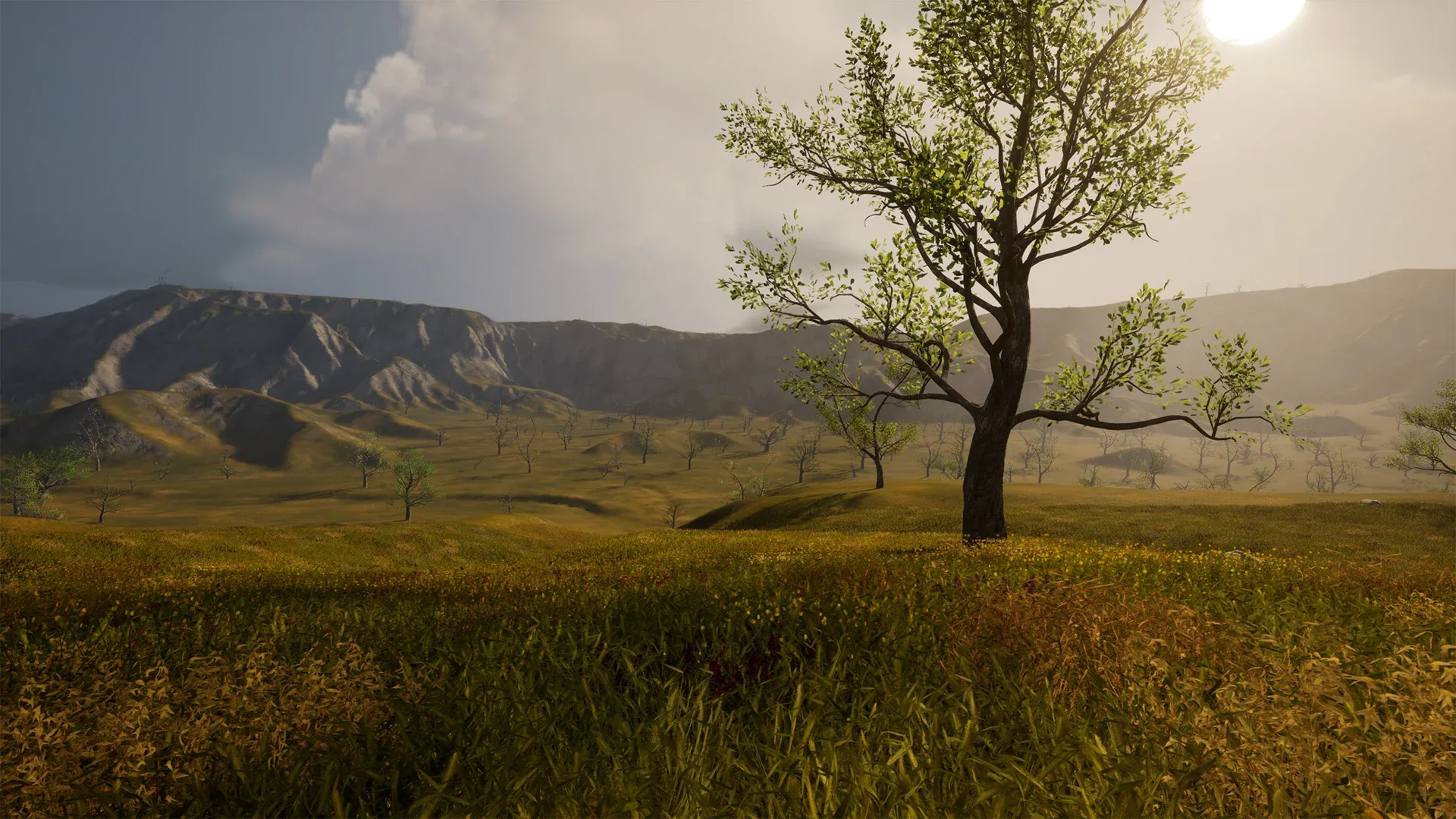 North American Prairie Ecosystem
