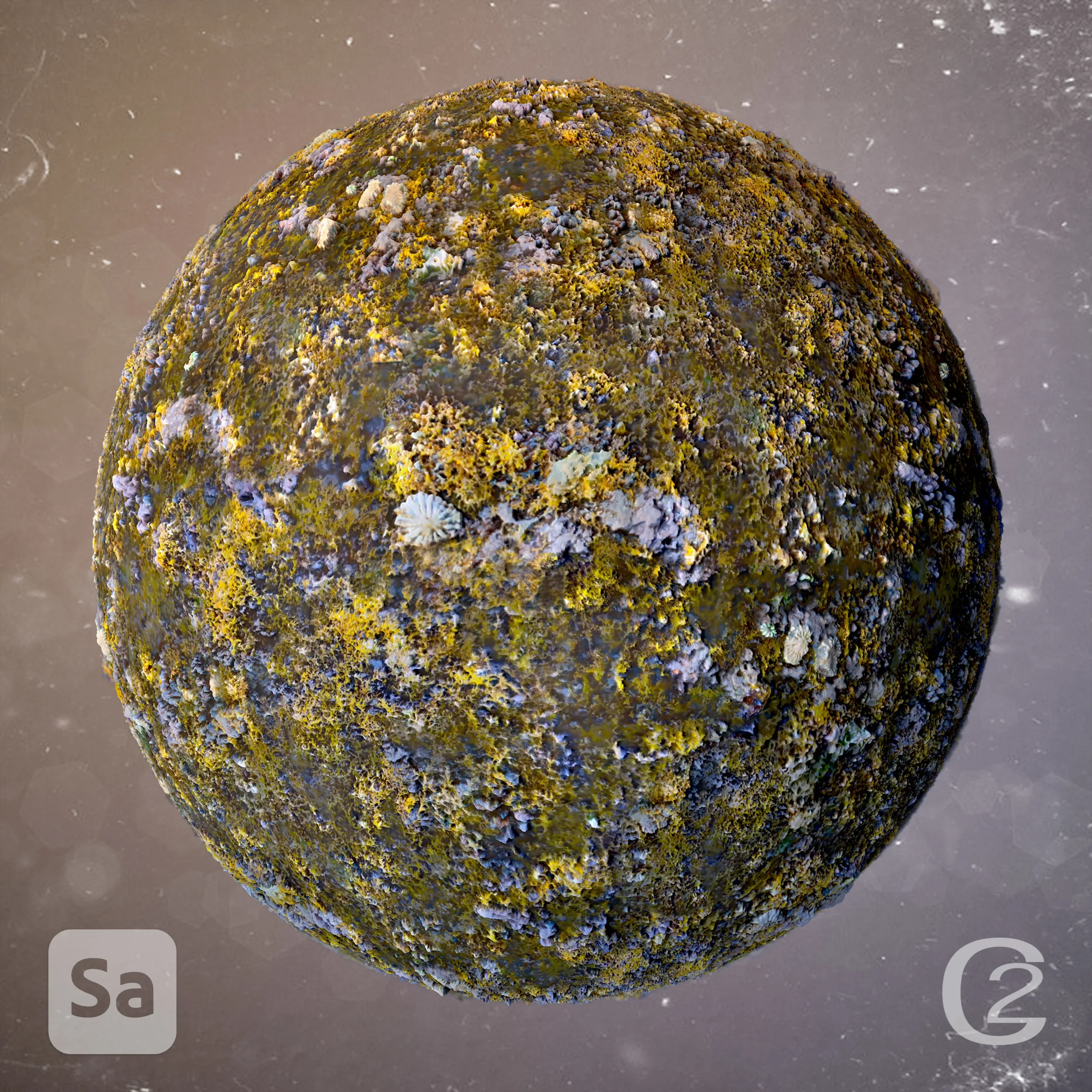 Mid Tide Seaweed Substance Sampler FlippedNormals