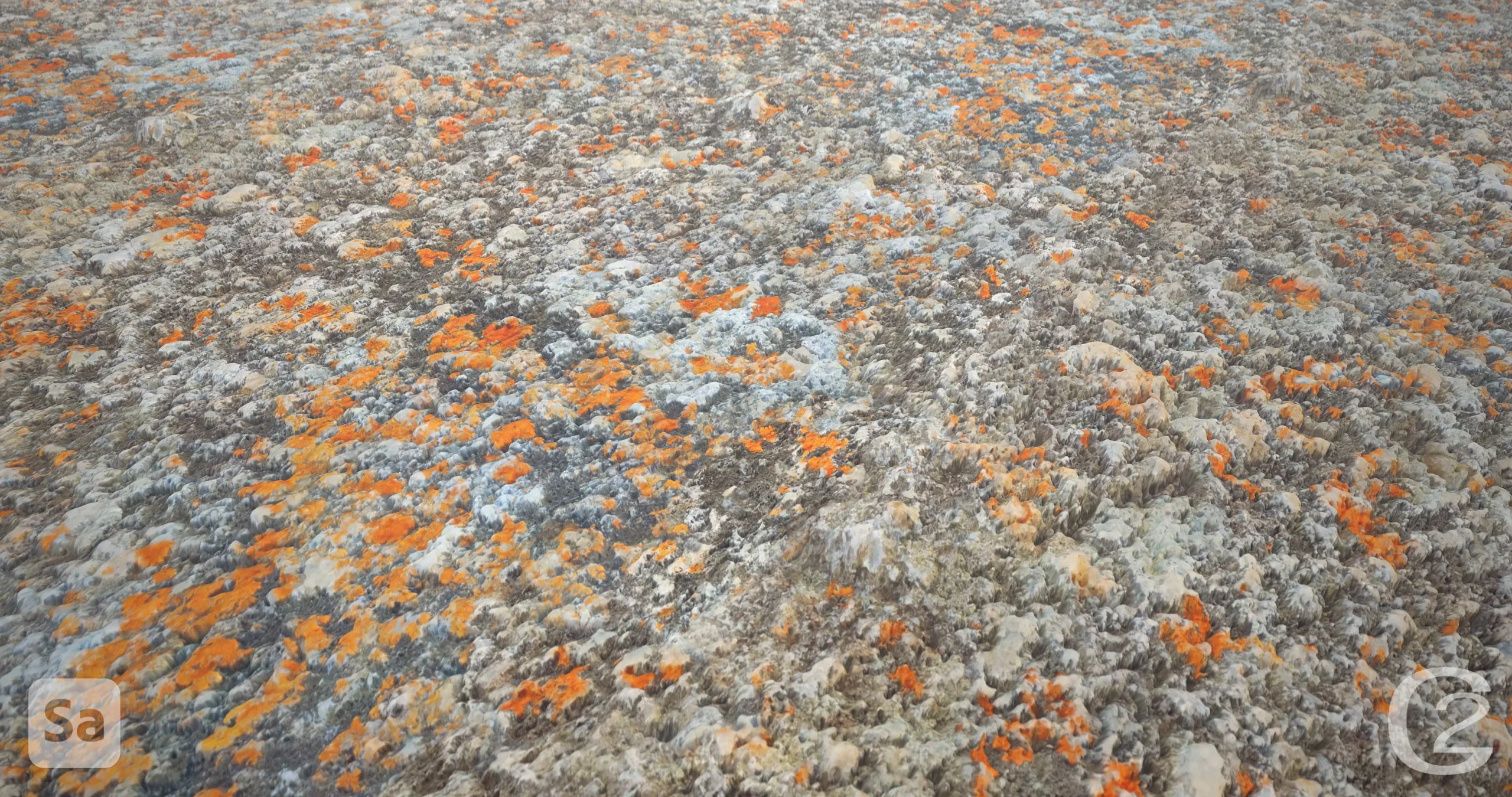 Orange Lichen Rock_02 - Substance Sampler