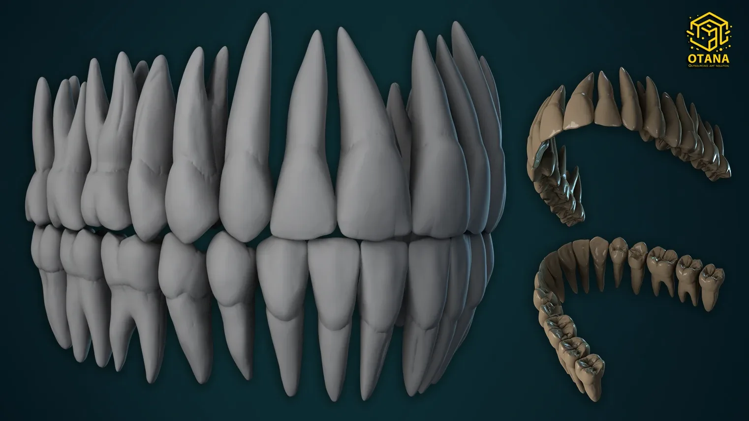 Realistic Human Teeth – ZBrush IMM Brush + OBJ