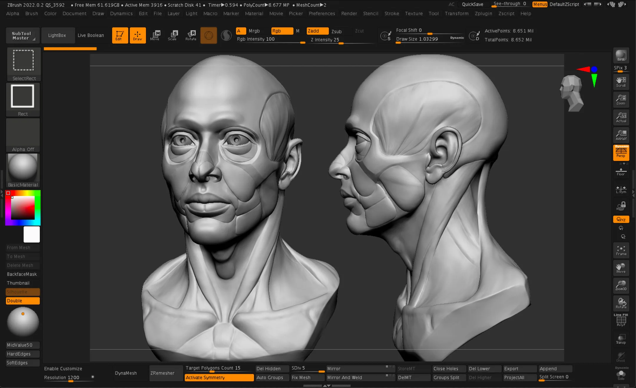 FlippedNormals Anatomy Bust