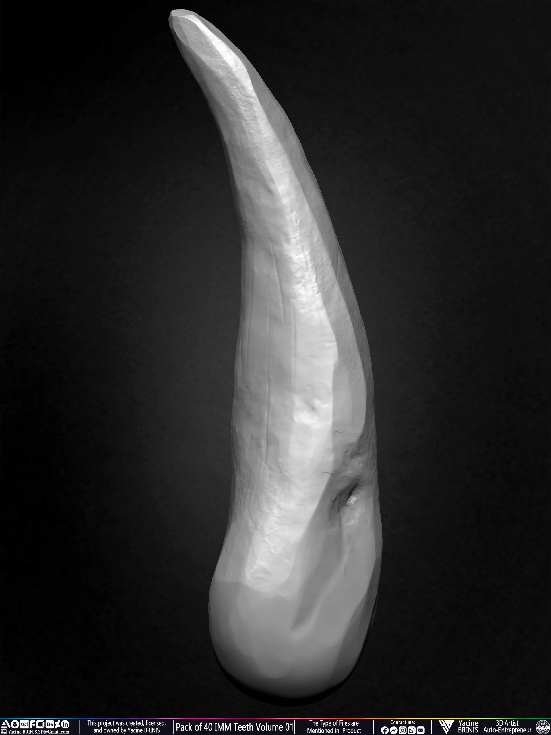 Pack of 40 IMM Teeth Volume 01