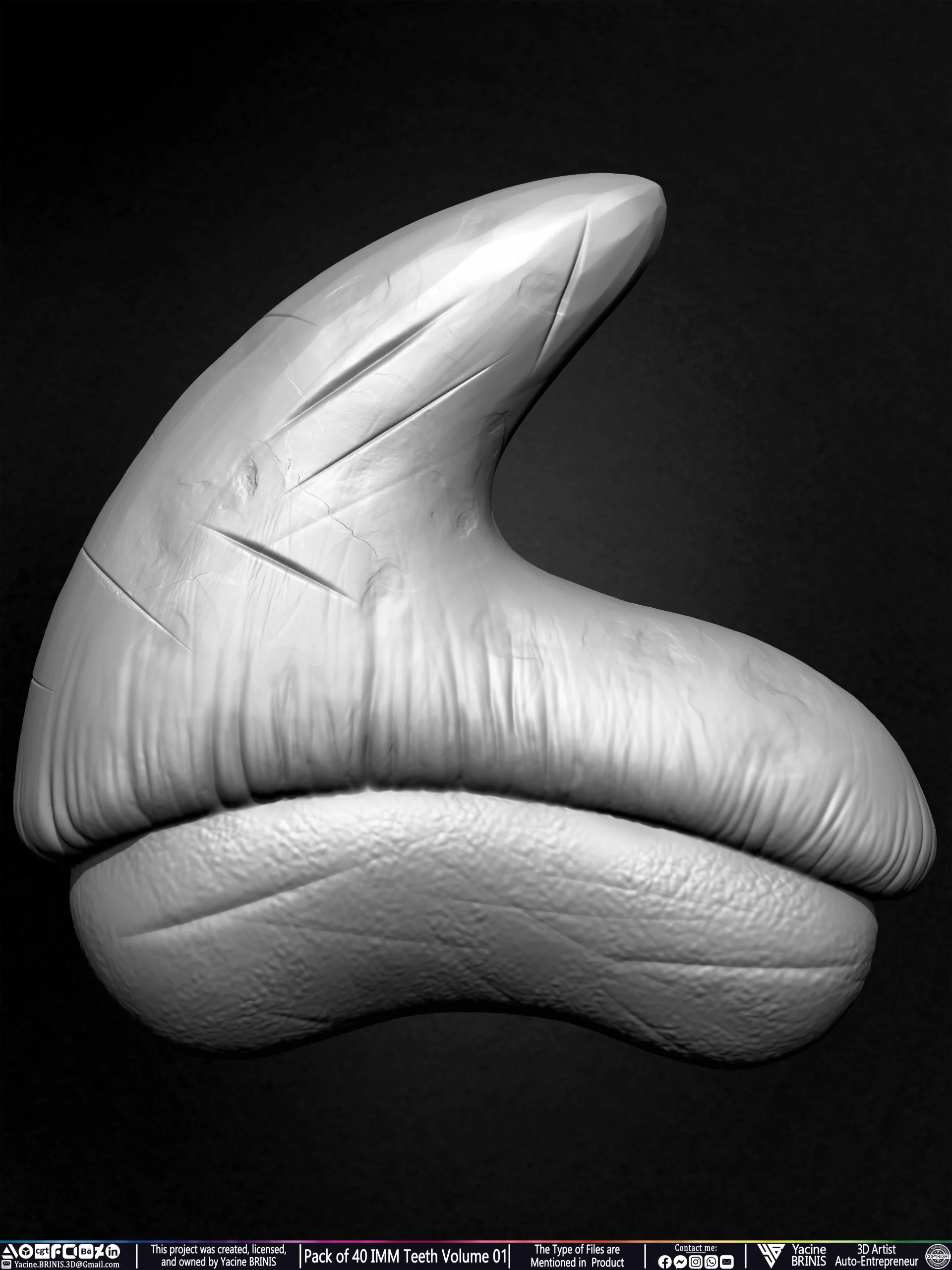 Pack of 40 IMM Teeth Volume 01