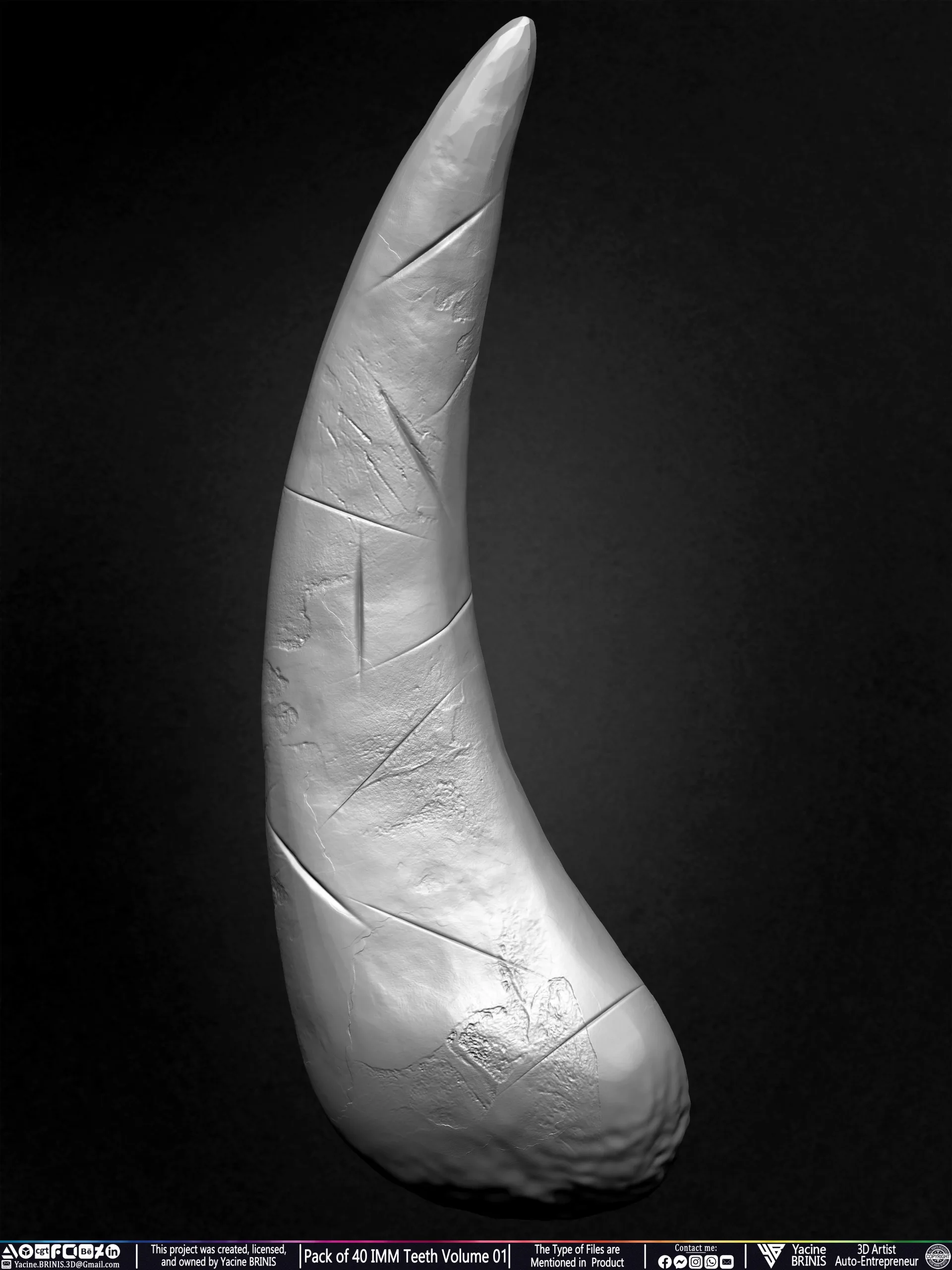 Pack of 40 IMM Teeth Volume 01