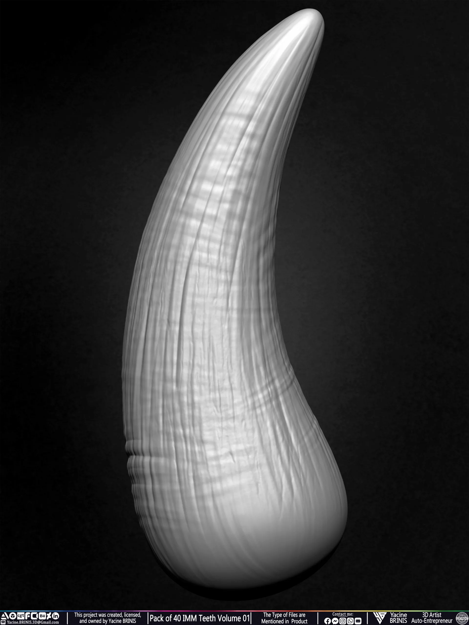 Pack of 40 IMM Teeth Volume 01