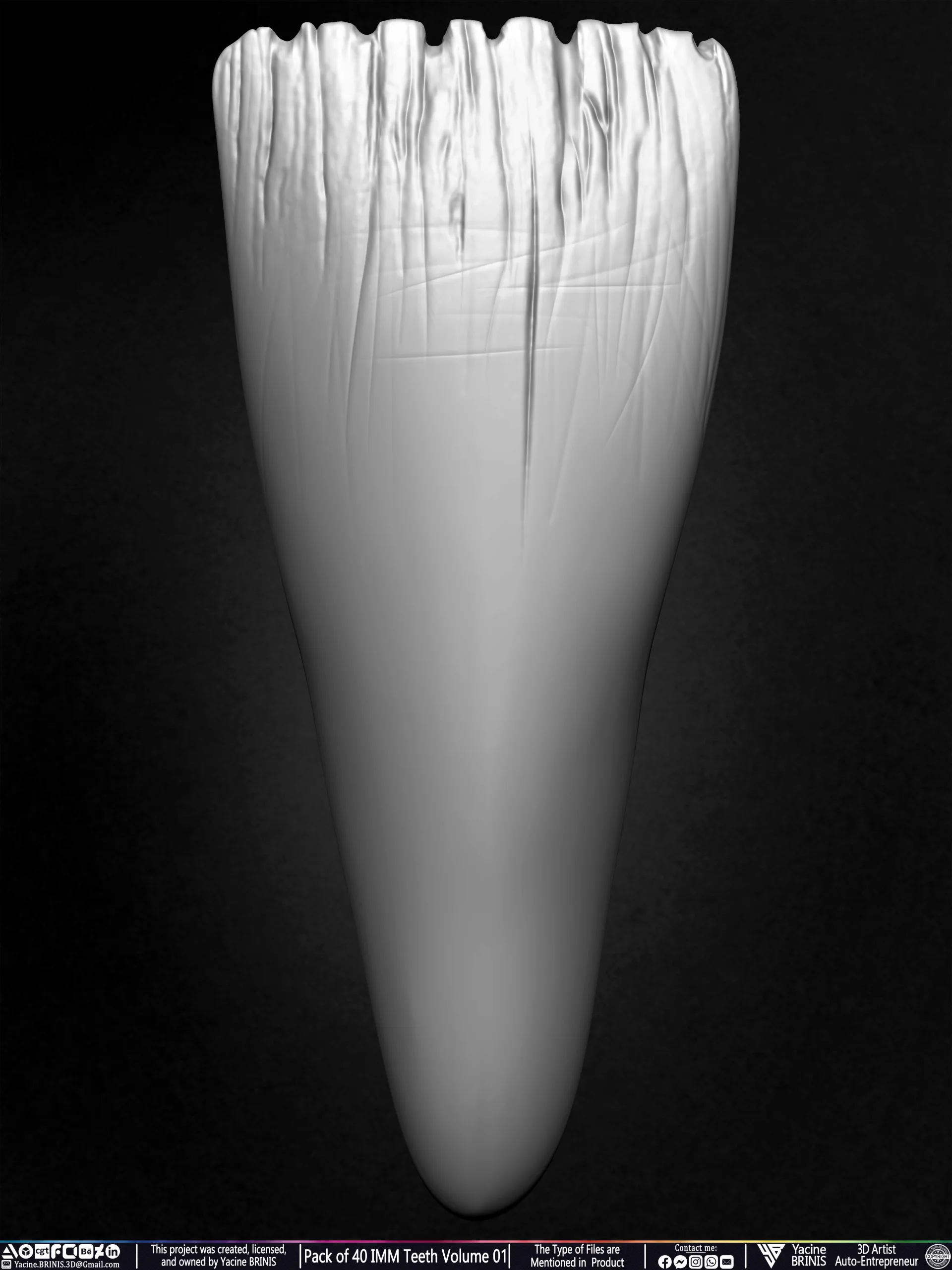 Pack of 40 IMM Teeth Volume 01