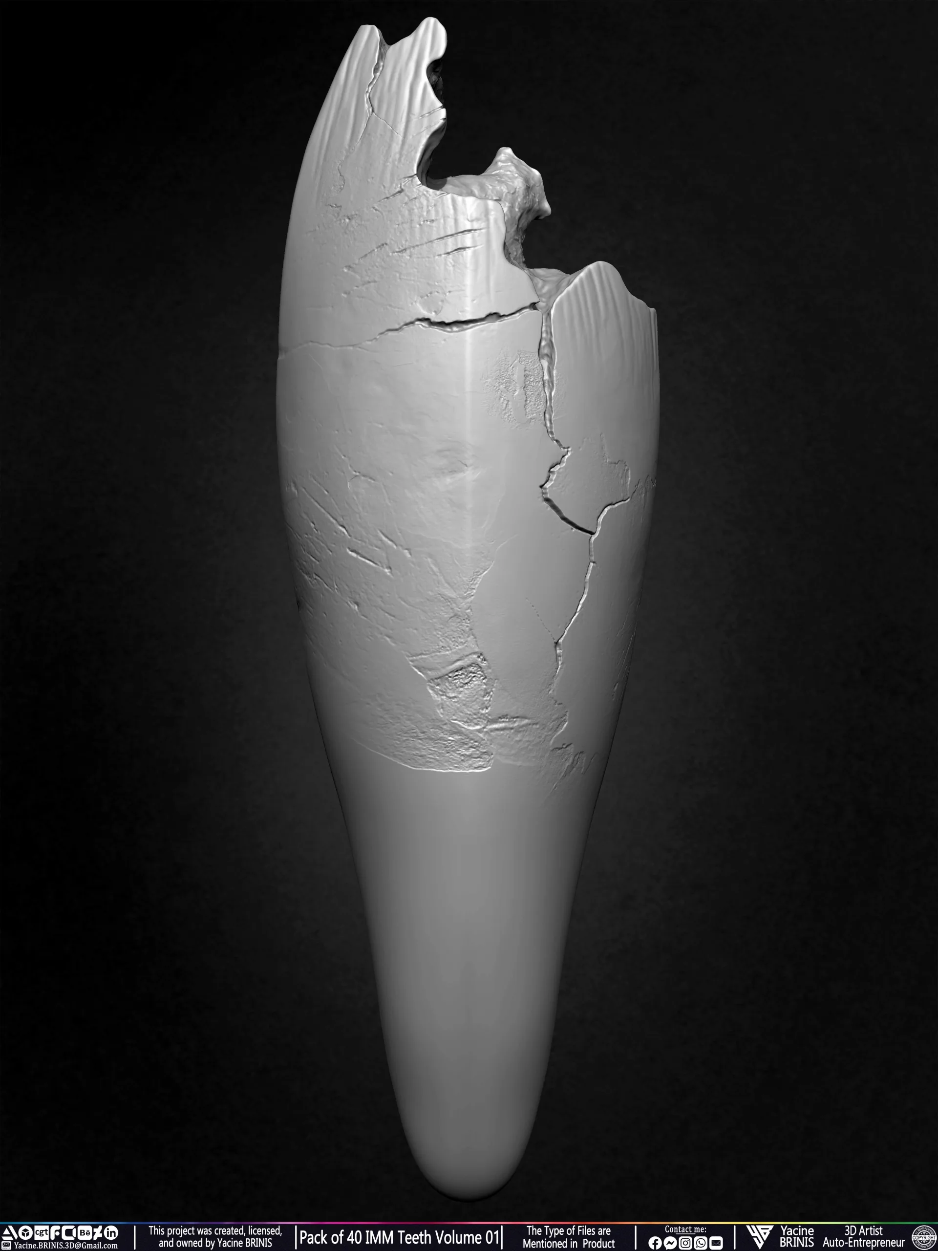 Pack of 40 IMM Teeth Volume 01