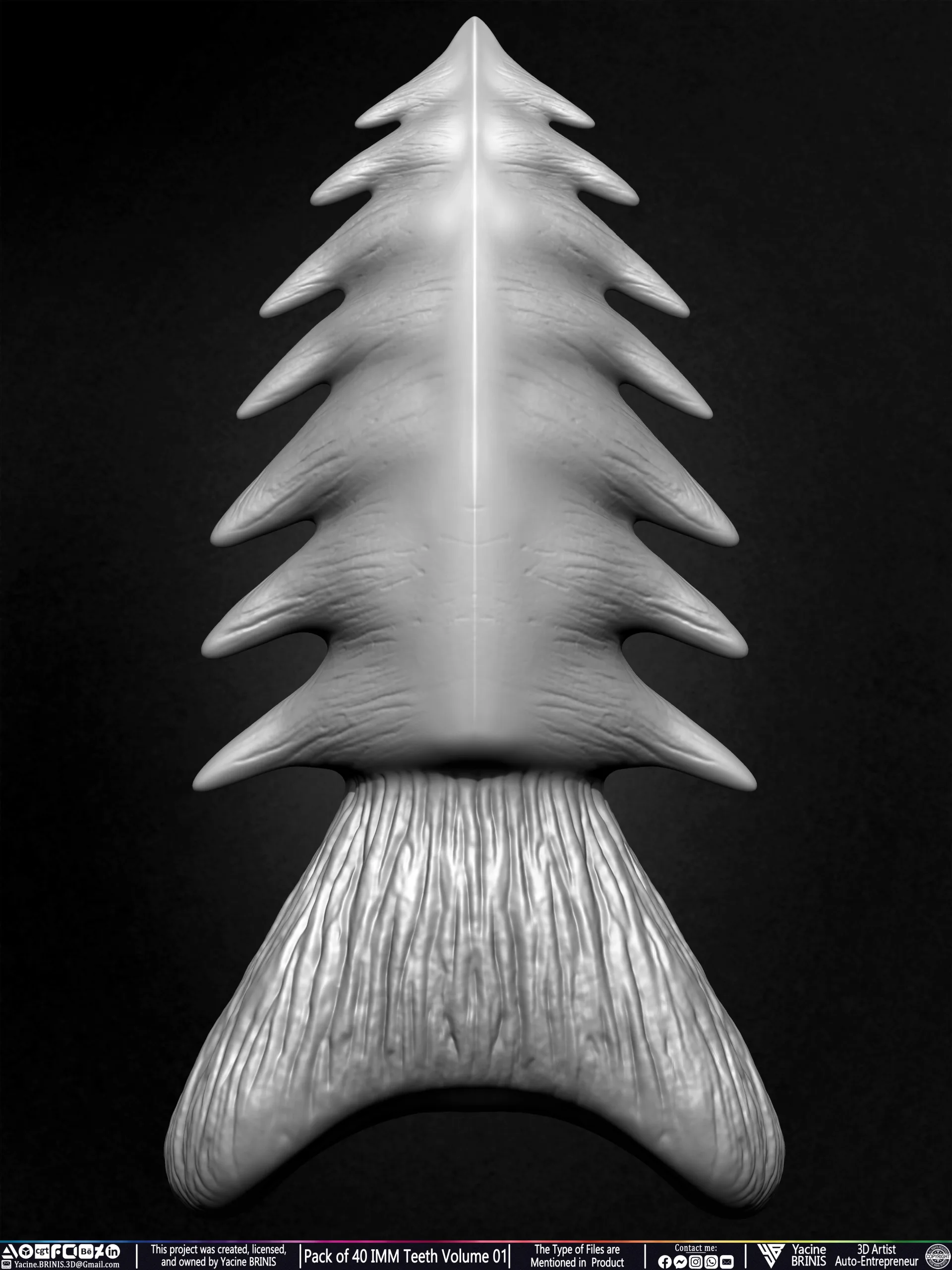 Pack of 40 IMM Teeth Volume 01