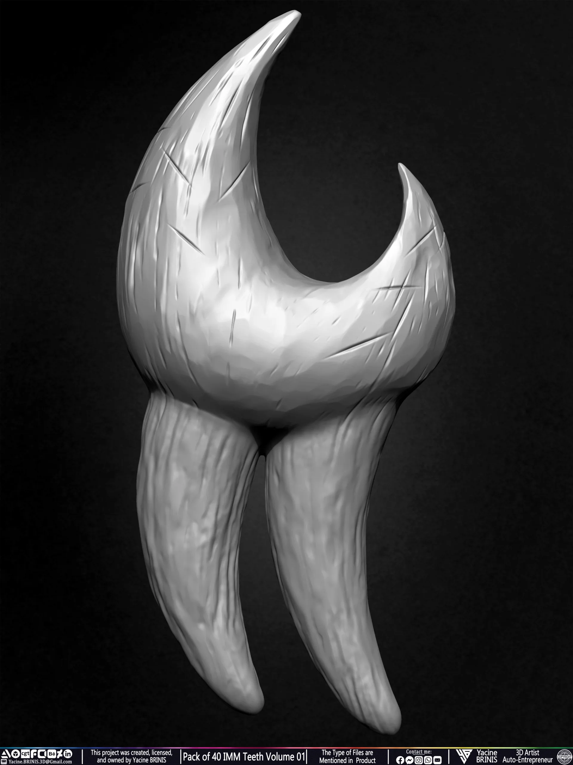 Pack of 40 IMM Teeth Volume 01