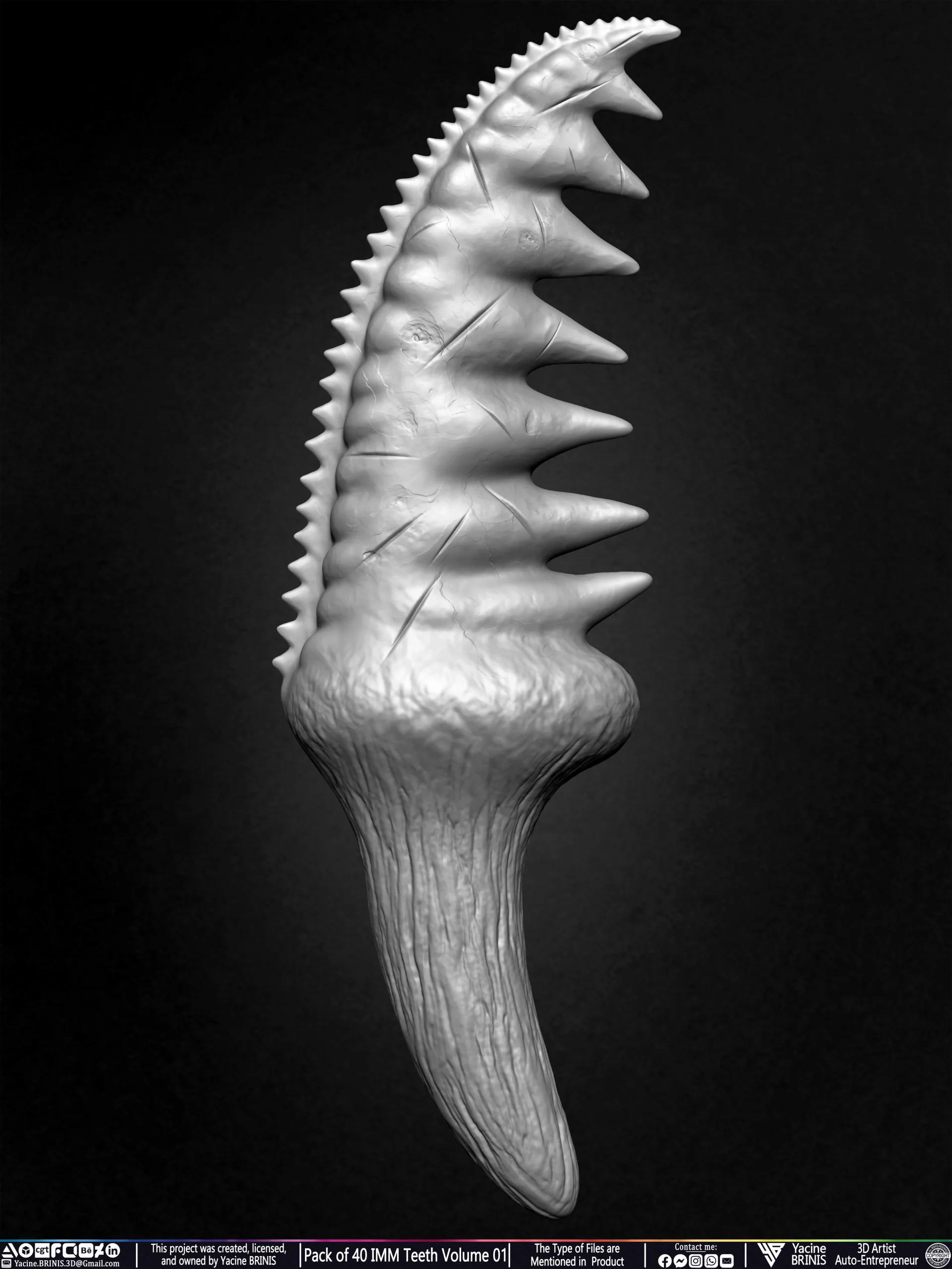 Pack of 40 IMM Teeth Volume 01