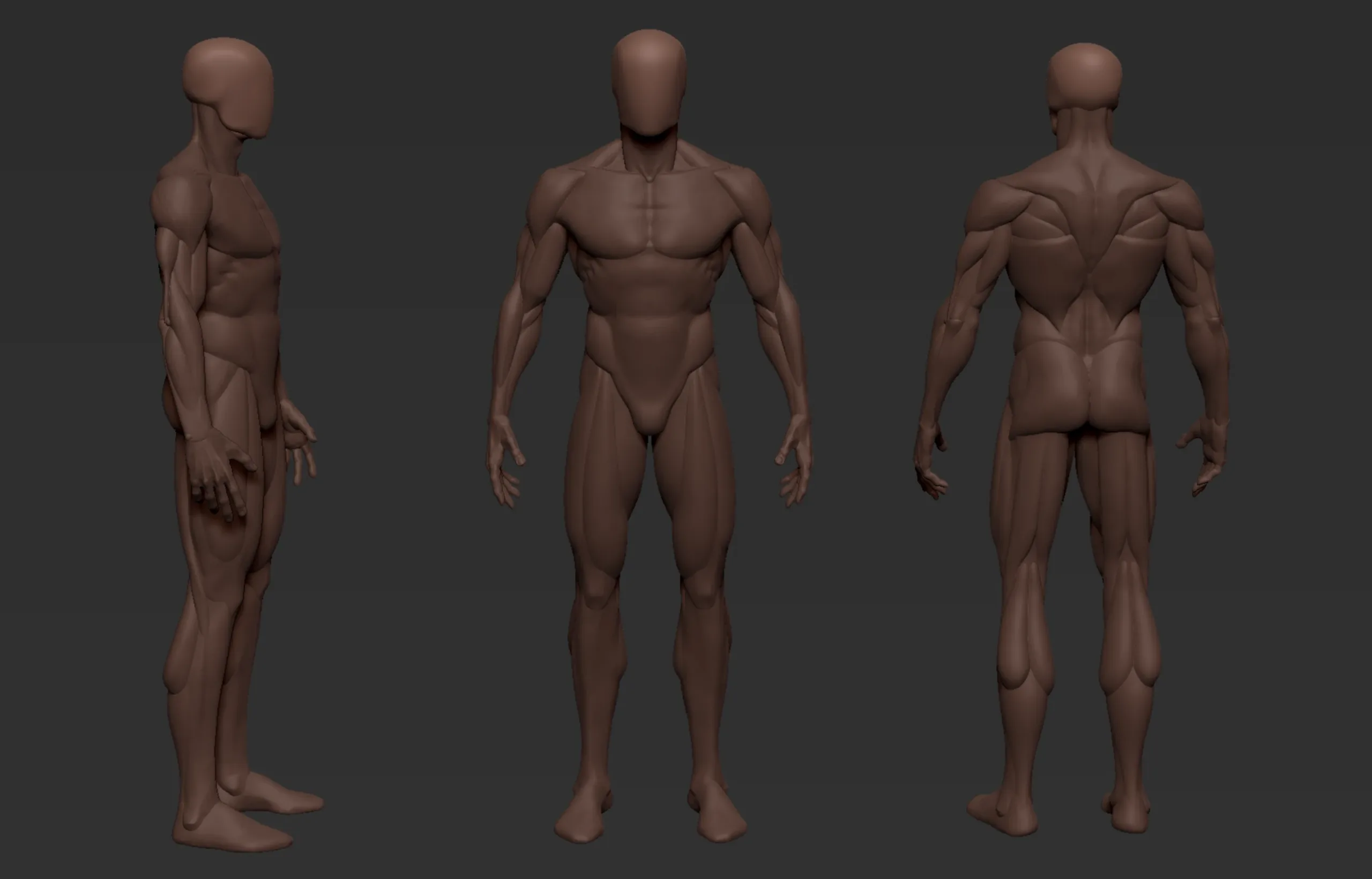 Human Basemesh - Male Character
