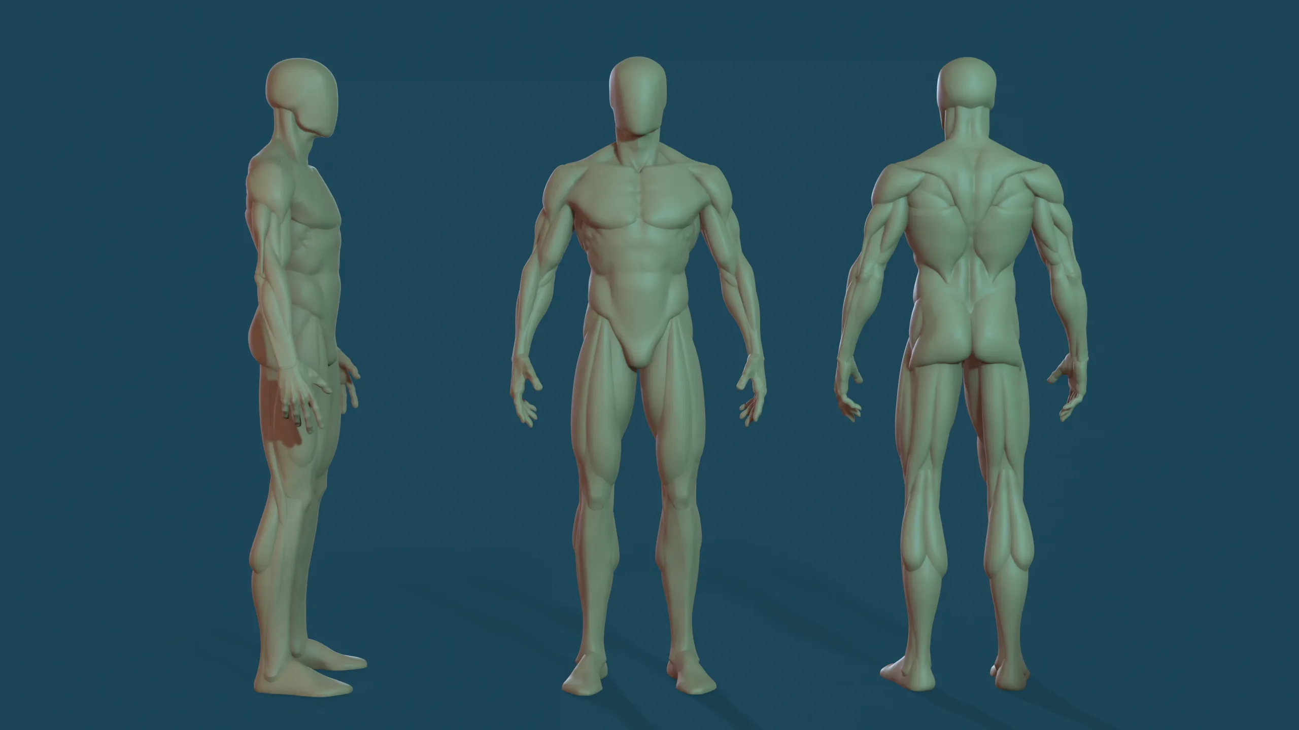 Human Basemesh - Male Character
