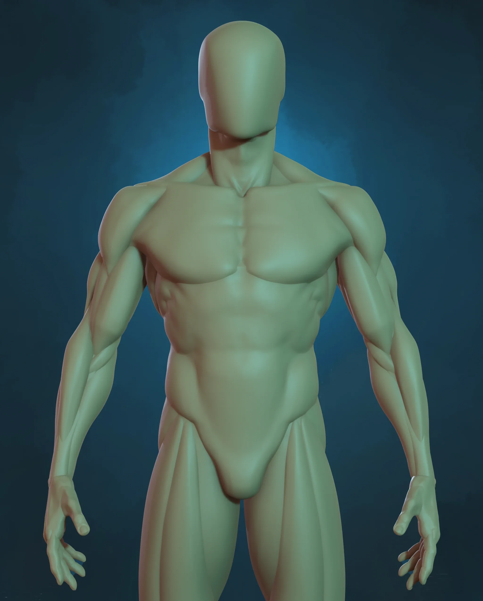 Human Basemesh - Male Character