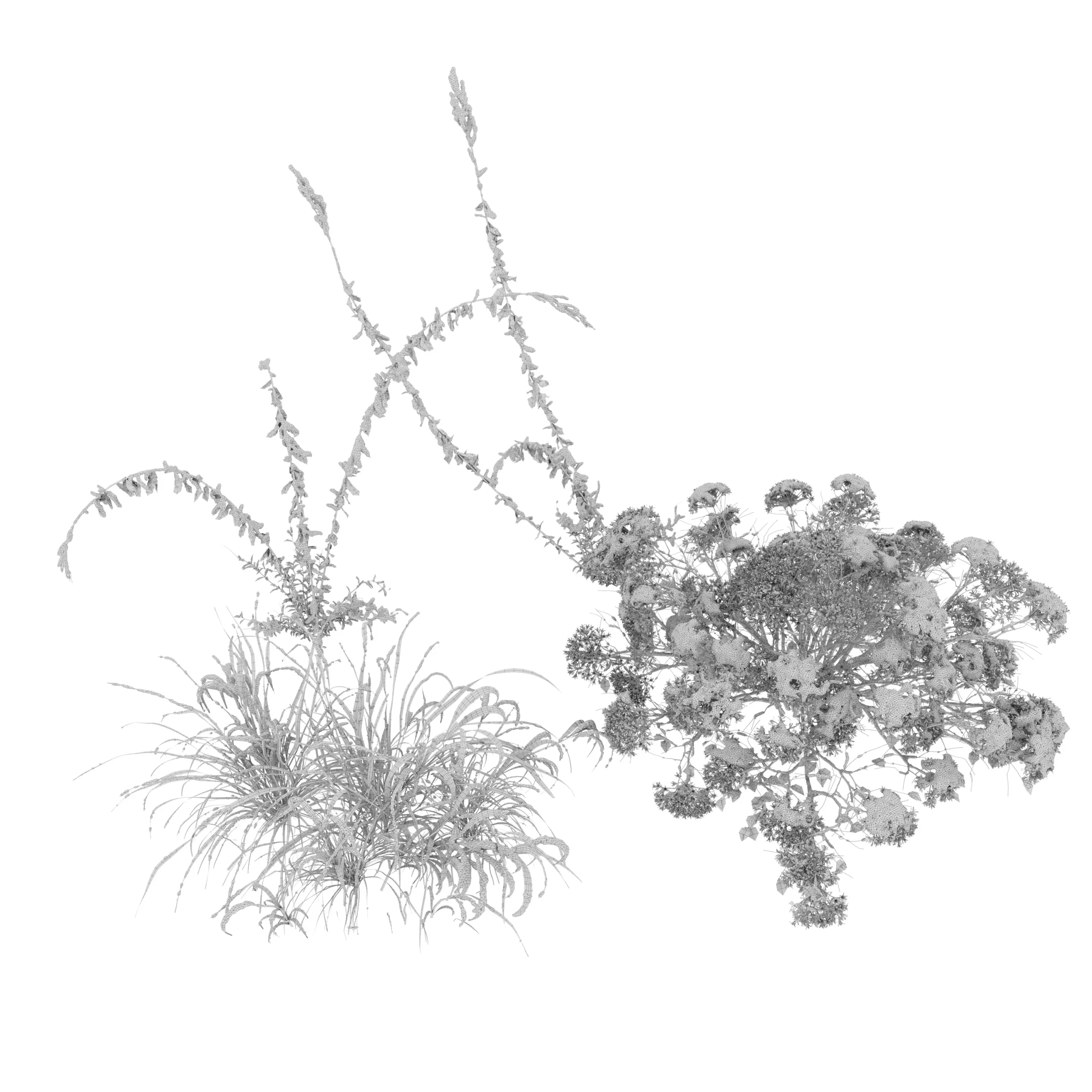 Winter plants - FlippedNormals