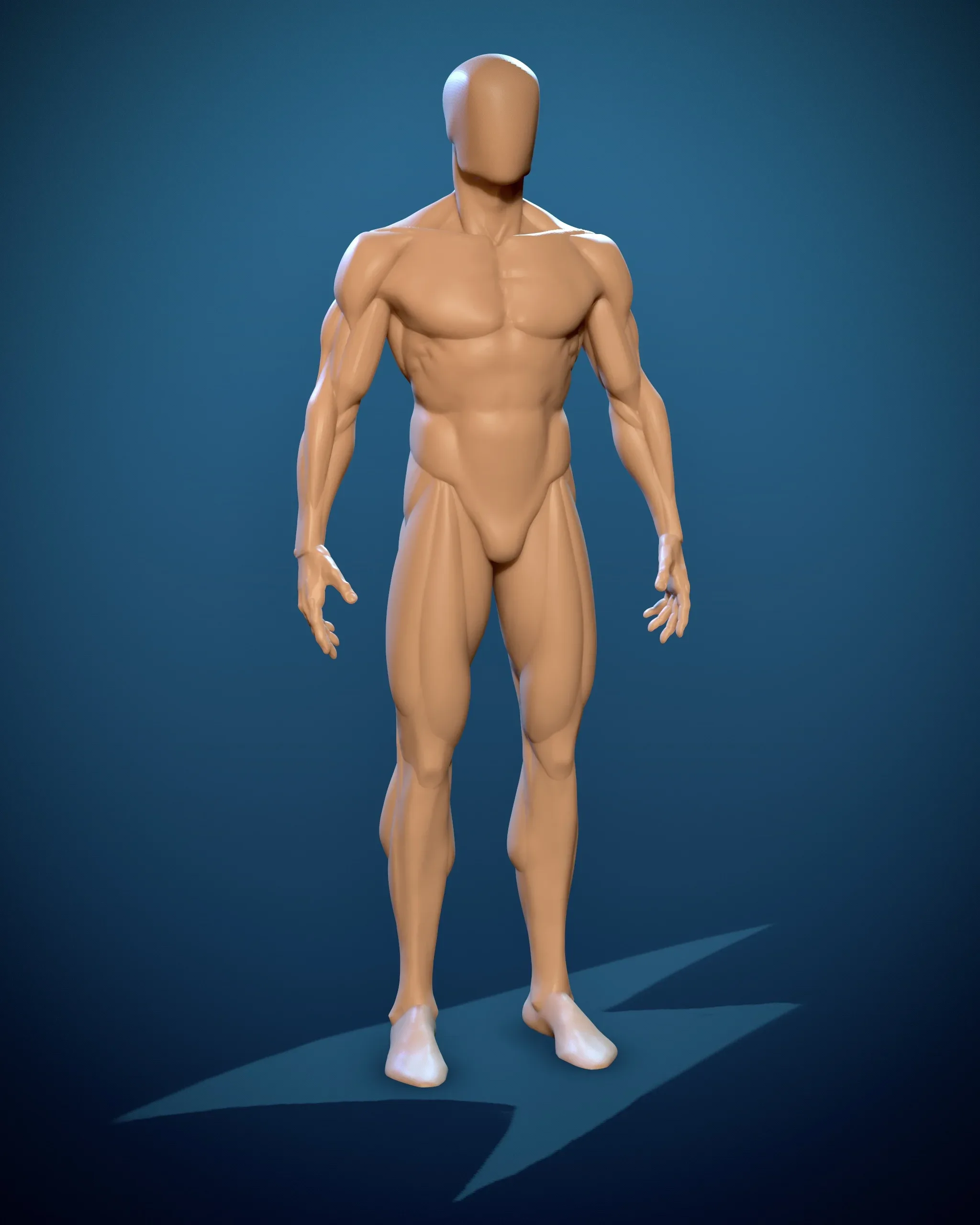 Human Basemesh - Male Character