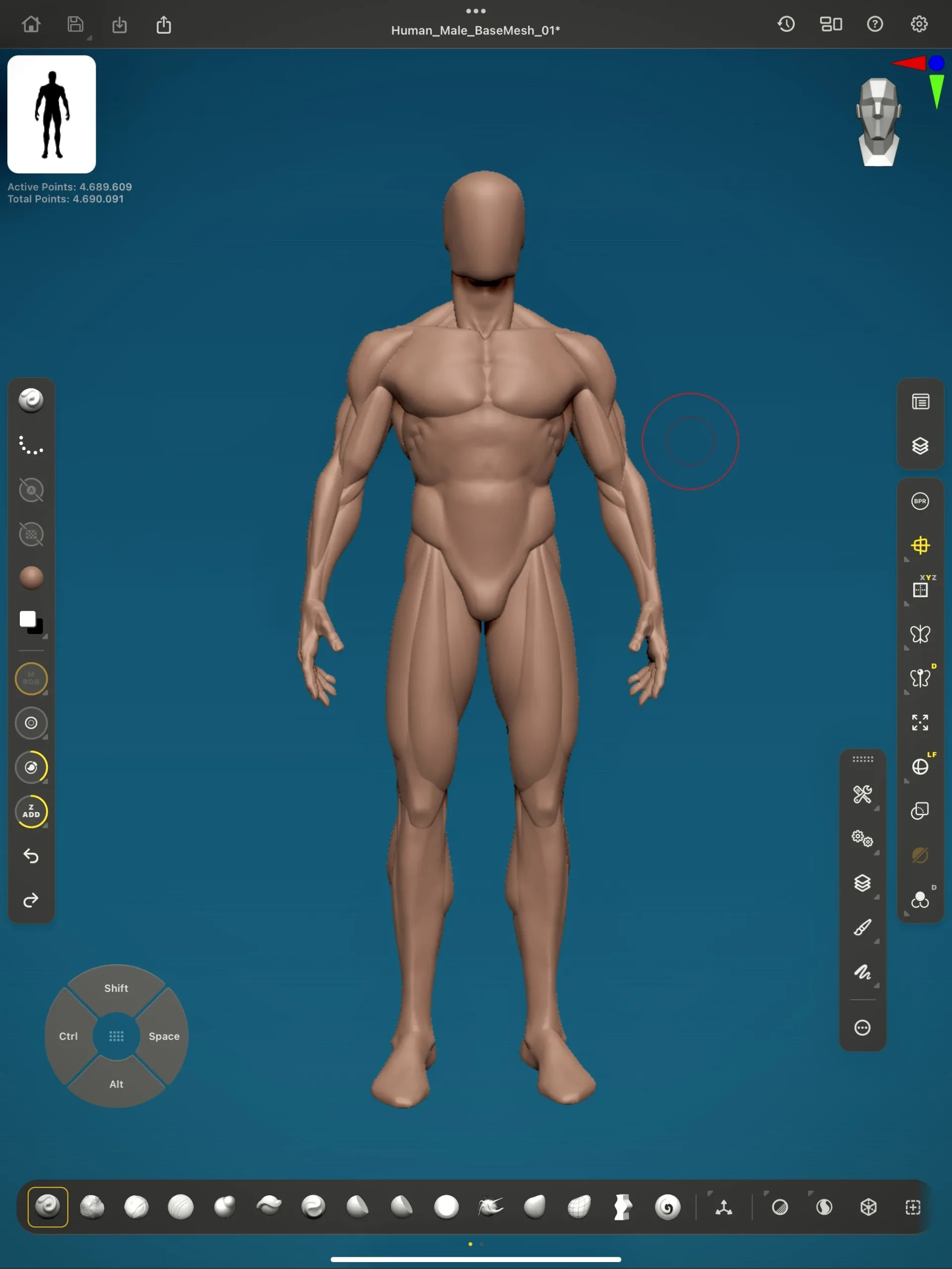 Human Basemesh - Male Character