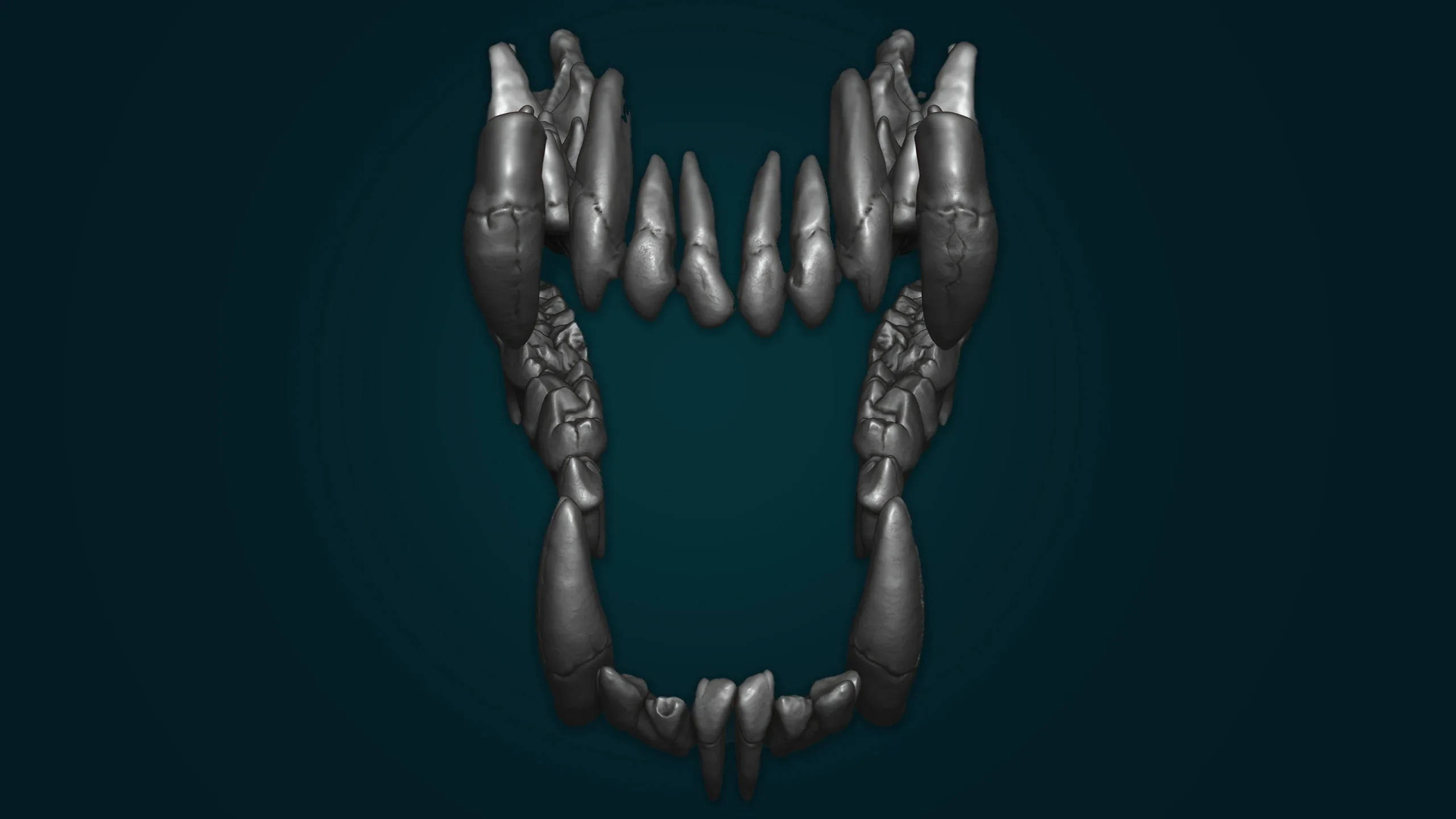 Realistic Bear Teeth 3D Model | Free Sample Included