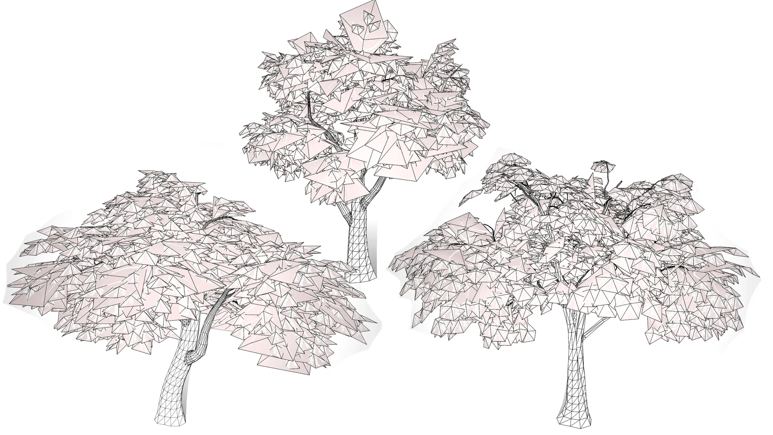 South African Mopane Tree 3D Model