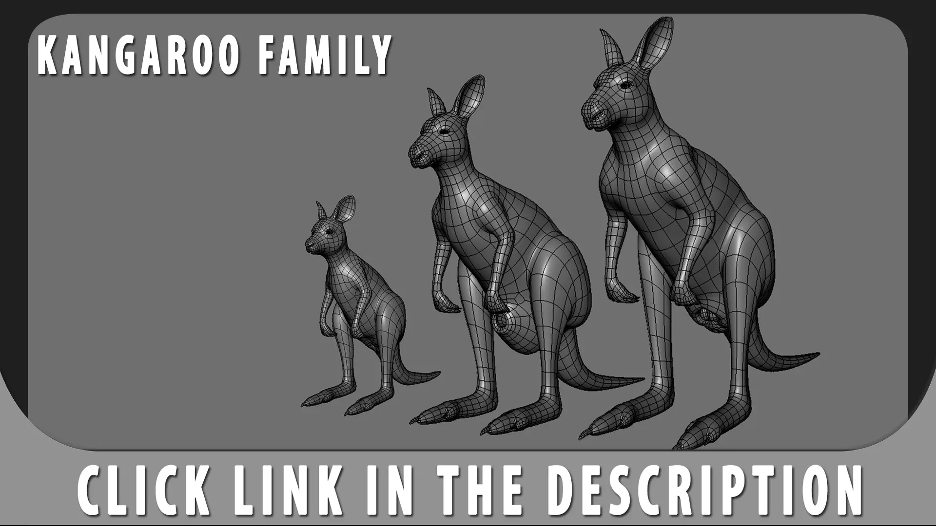 Kangaroo Female BaseMesh - Topology + UV Map