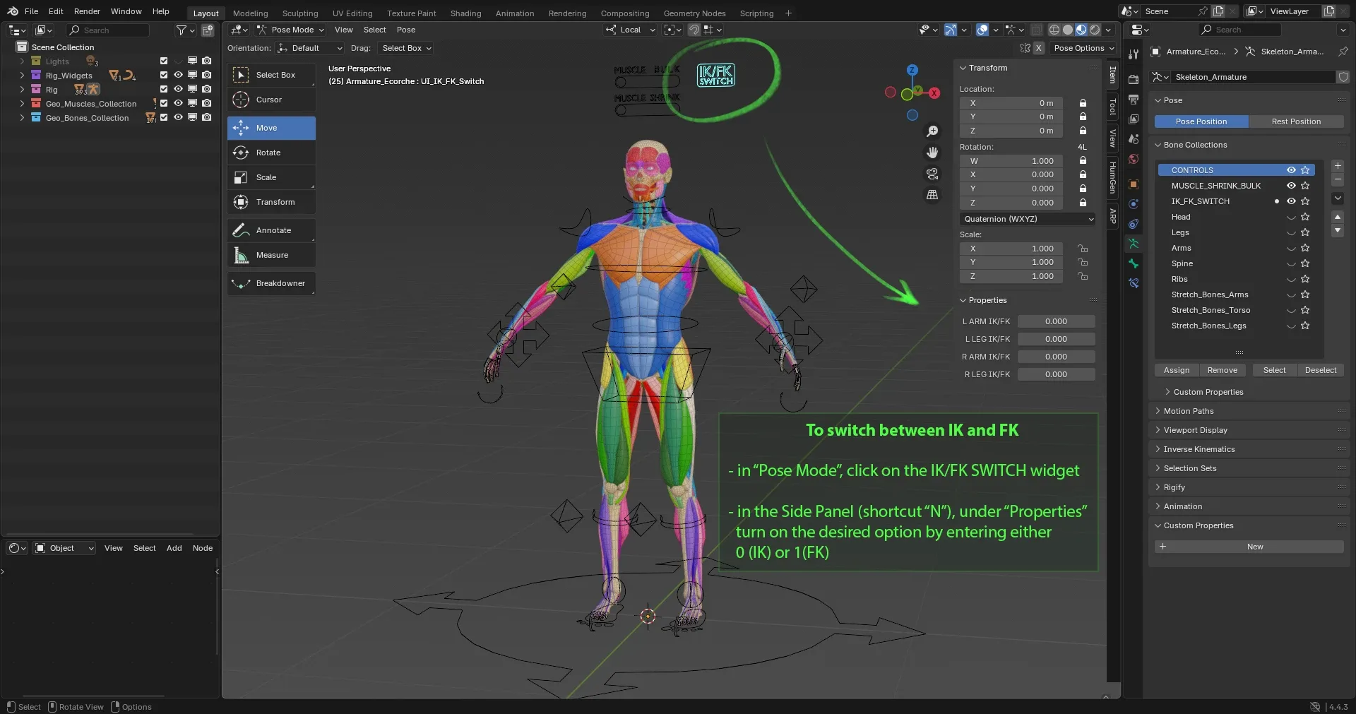 Muscle Anatomy - Ecorche Rigged