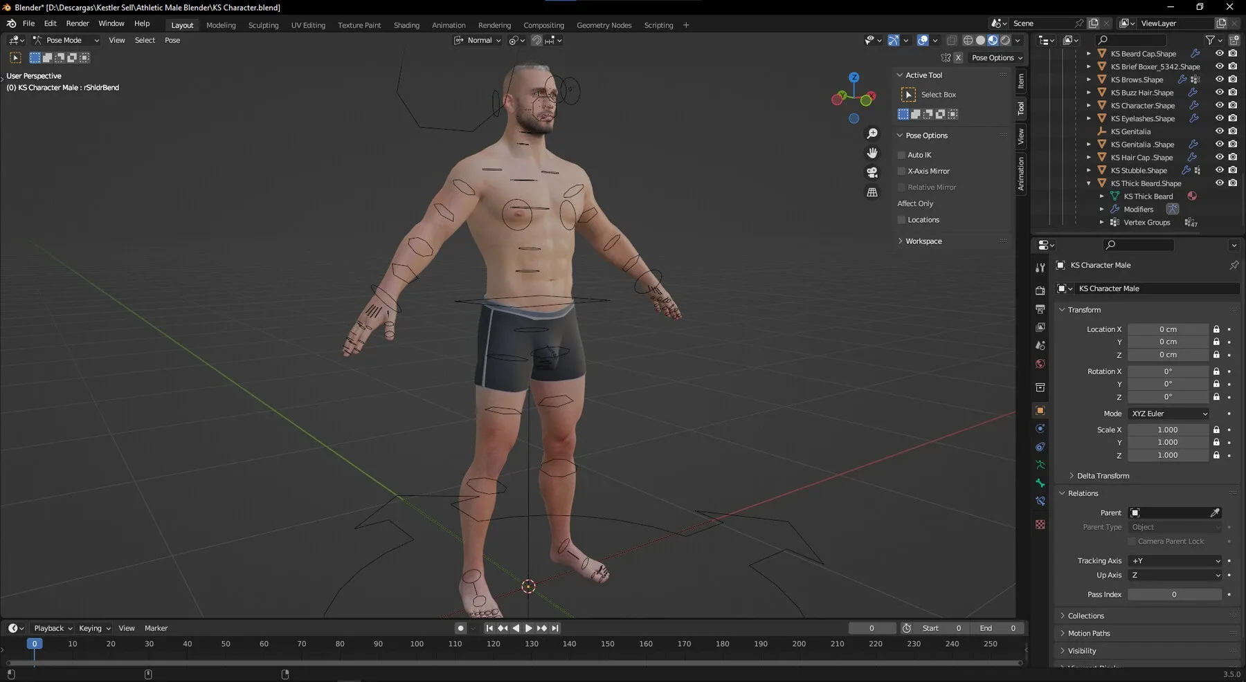 Advanced Realistic Base Game Character with Rig