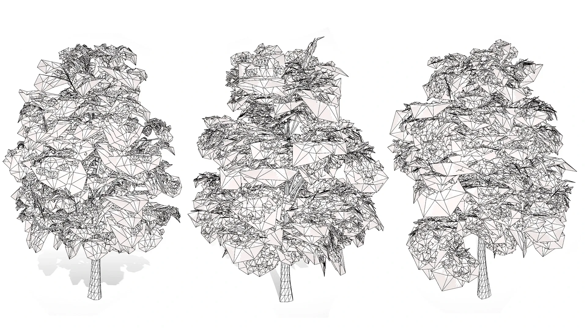 British Sycamore Tree 3D Model