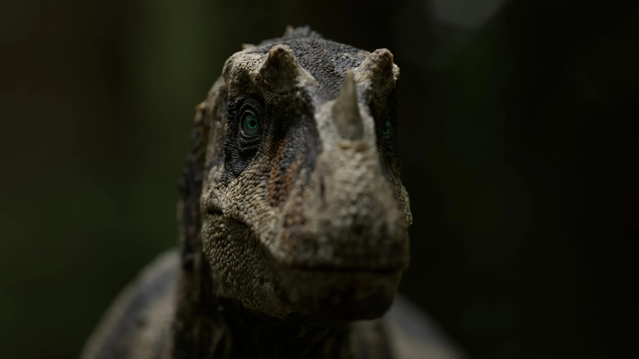 Ceratosaurus - Rigged Dinosaur