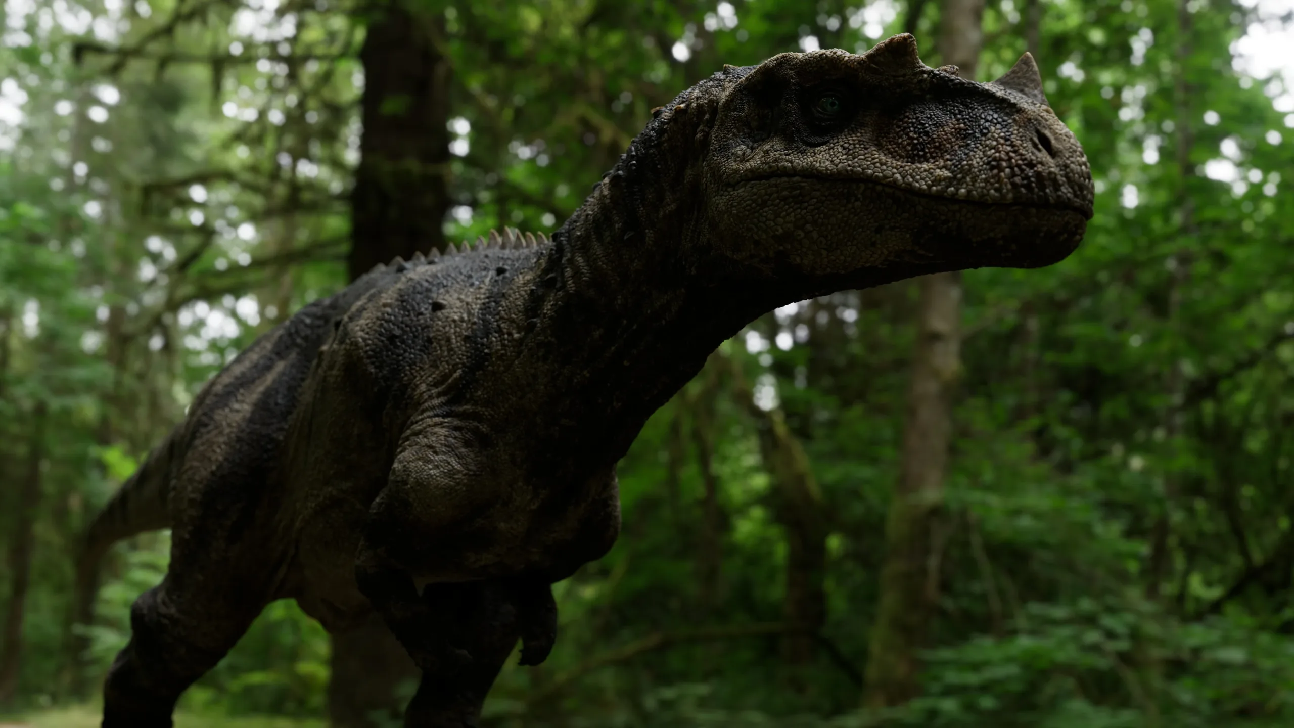 Ceratosaurus - Rigged Dinosaur