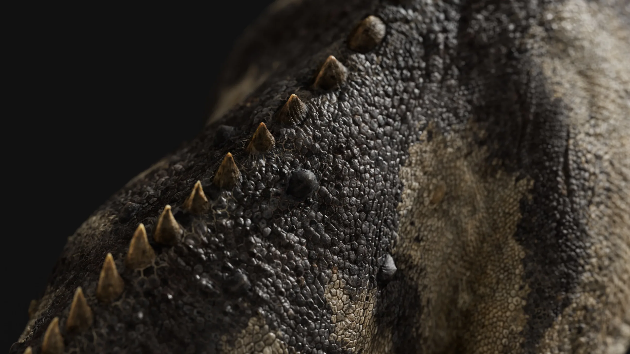 Ceratosaurus - Rigged Dinosaur