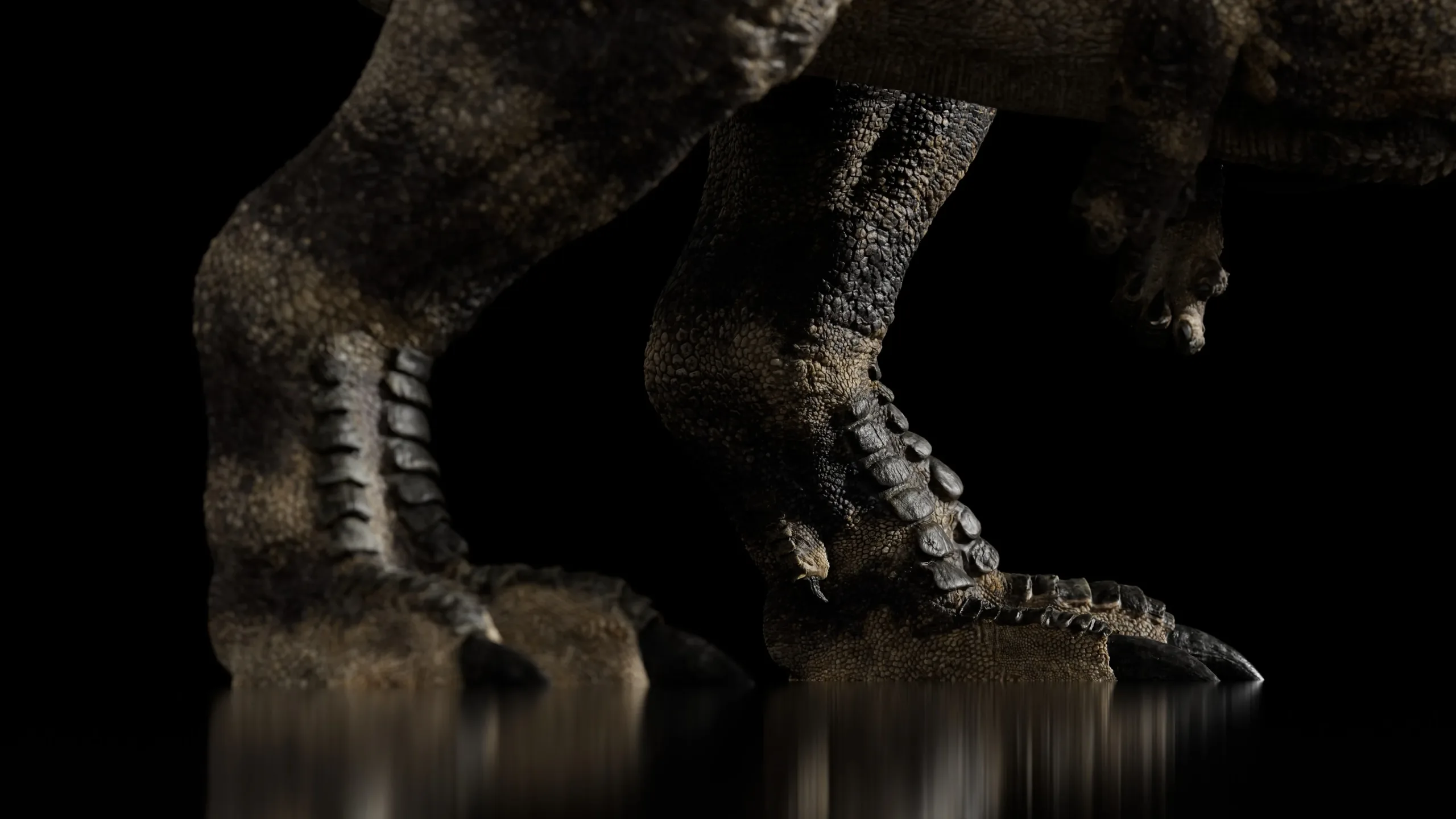 Ceratosaurus - Rigged Dinosaur