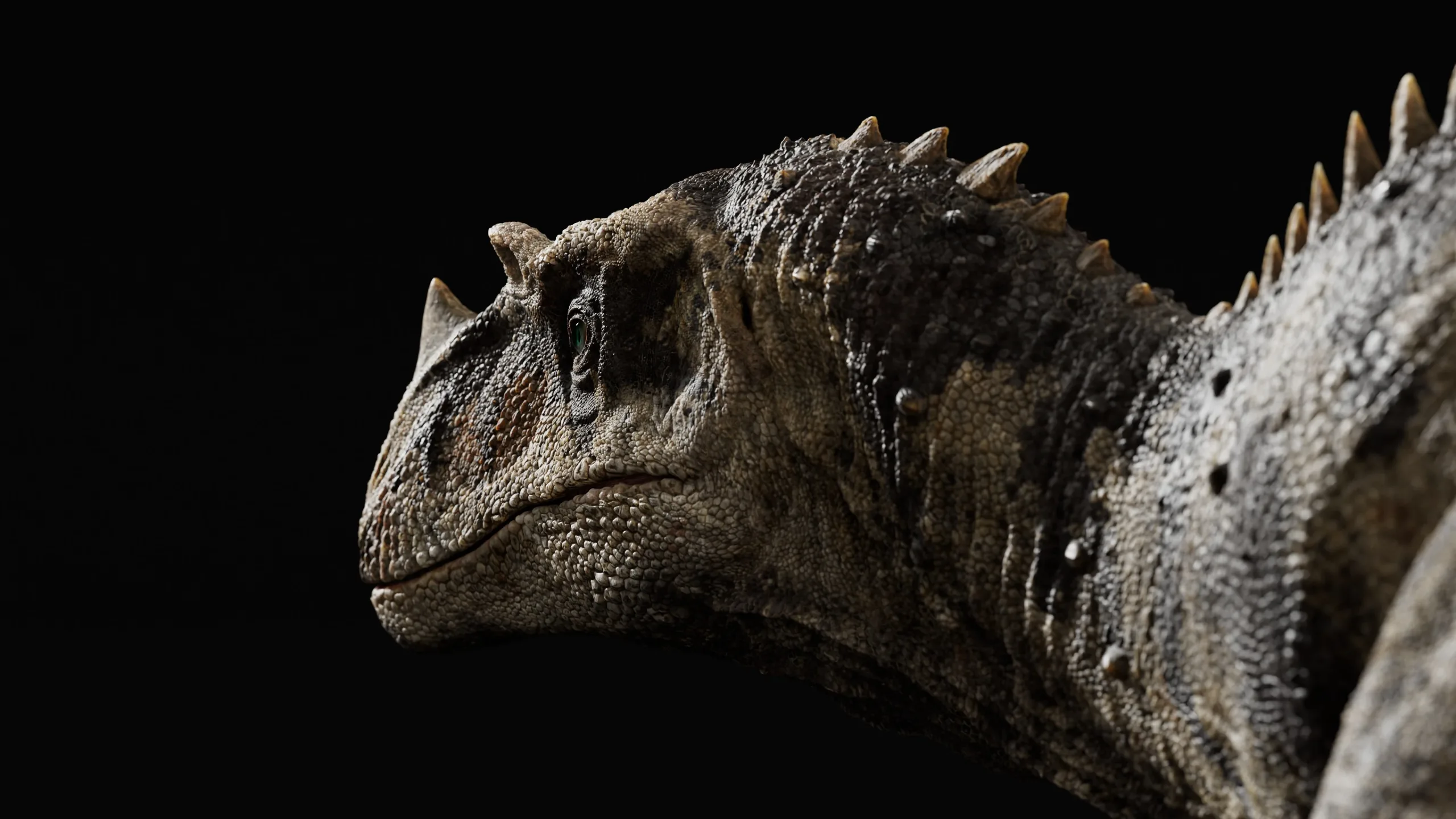 Ceratosaurus - Rigged Dinosaur