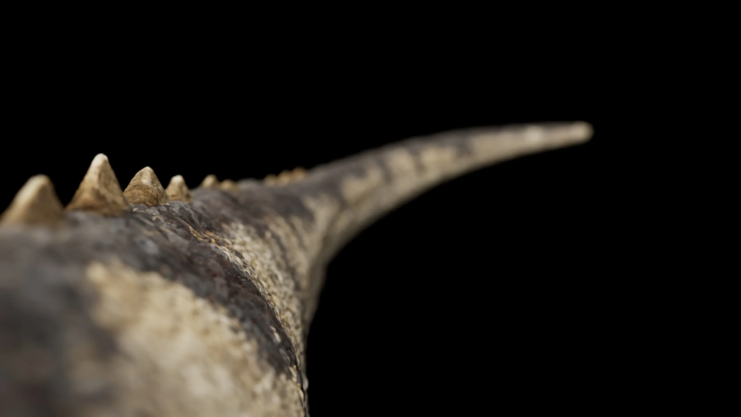 Ceratosaurus - Rigged Dinosaur