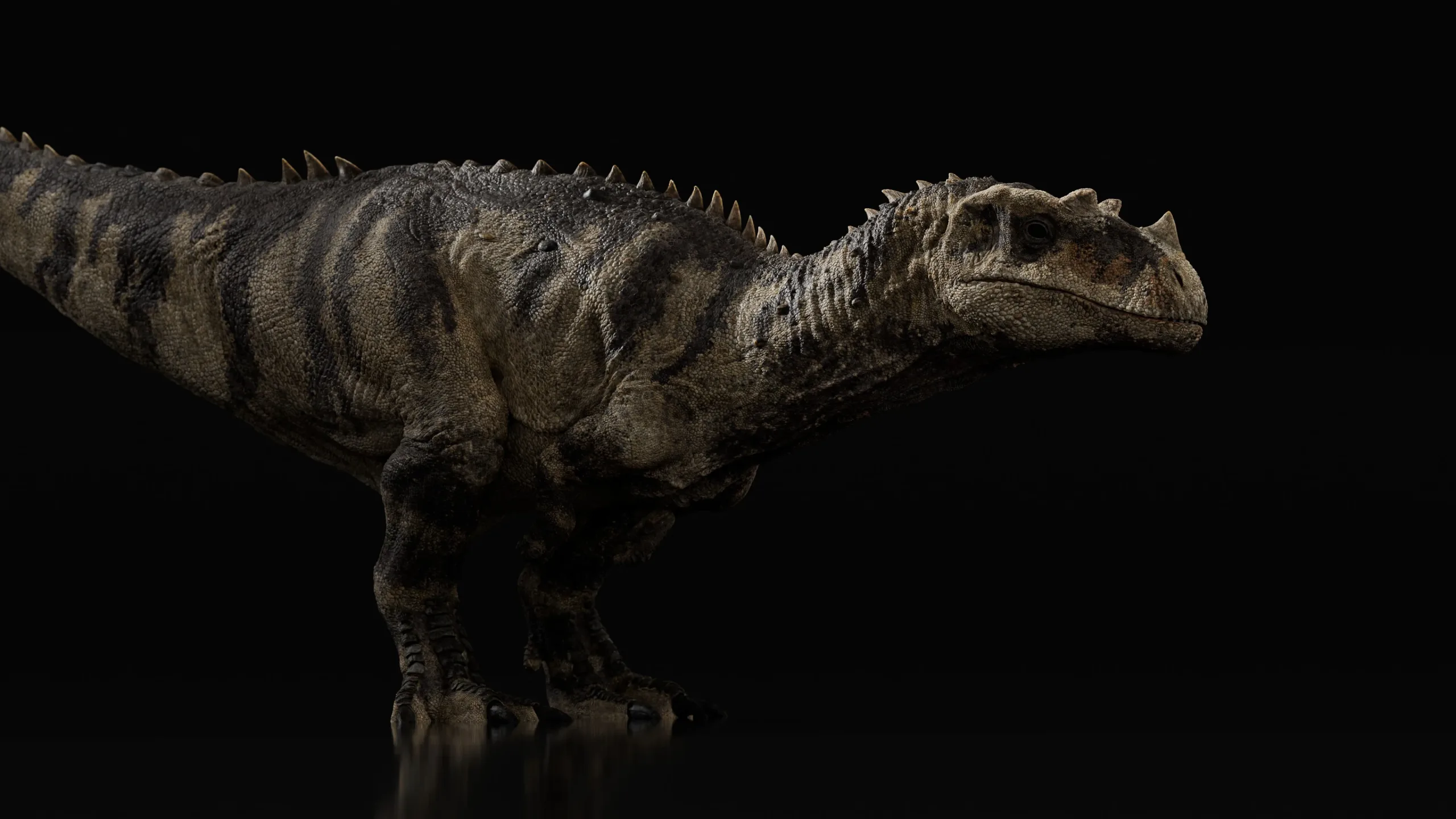 Ceratosaurus - Rigged Dinosaur