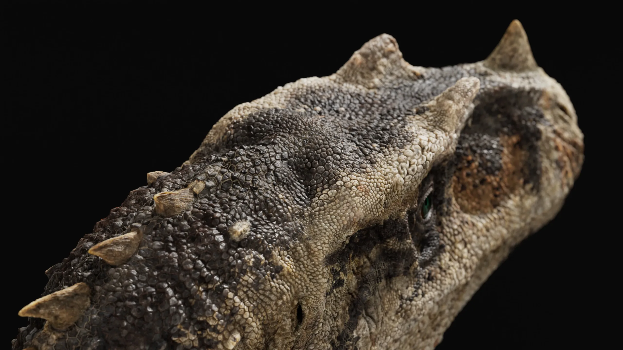 Ceratosaurus - Rigged Dinosaur