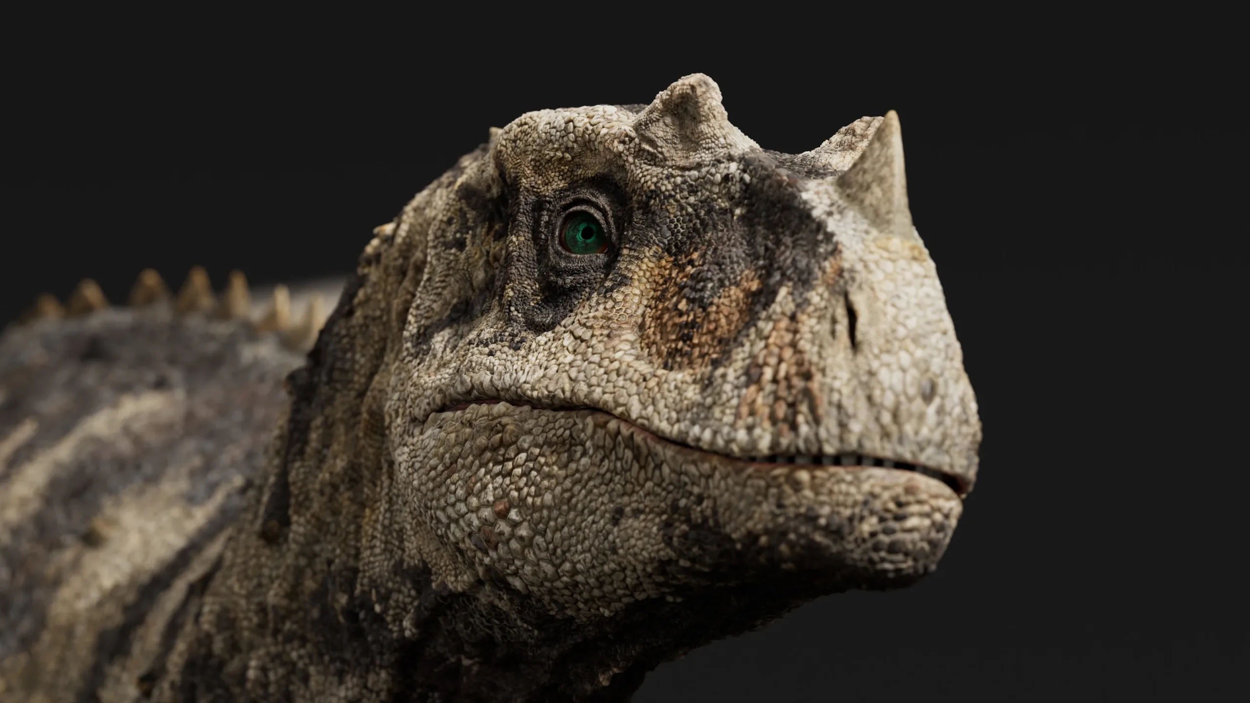 Ceratosaurus - Rigged Dinosaur