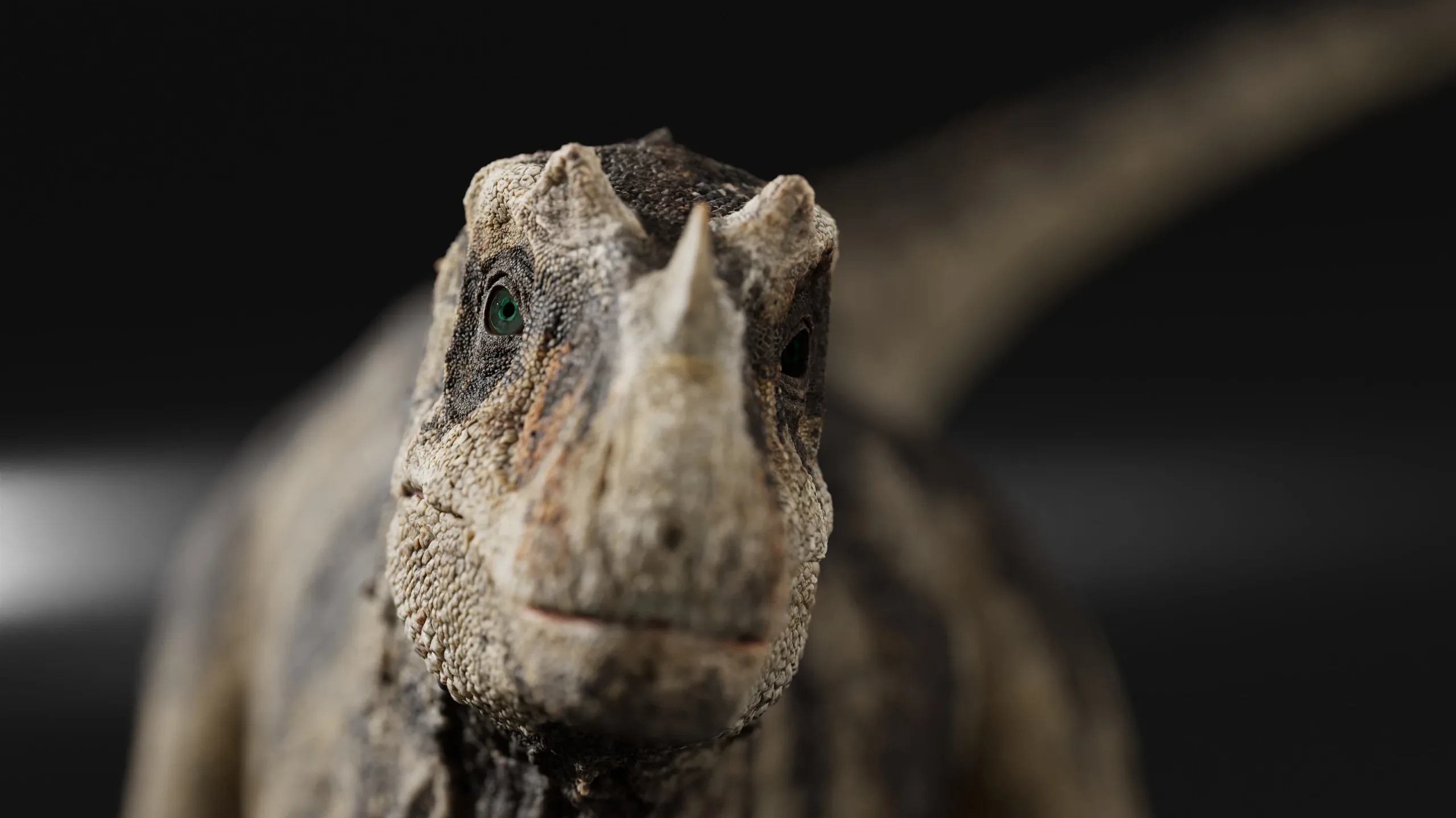 Ceratosaurus - Rigged Dinosaur