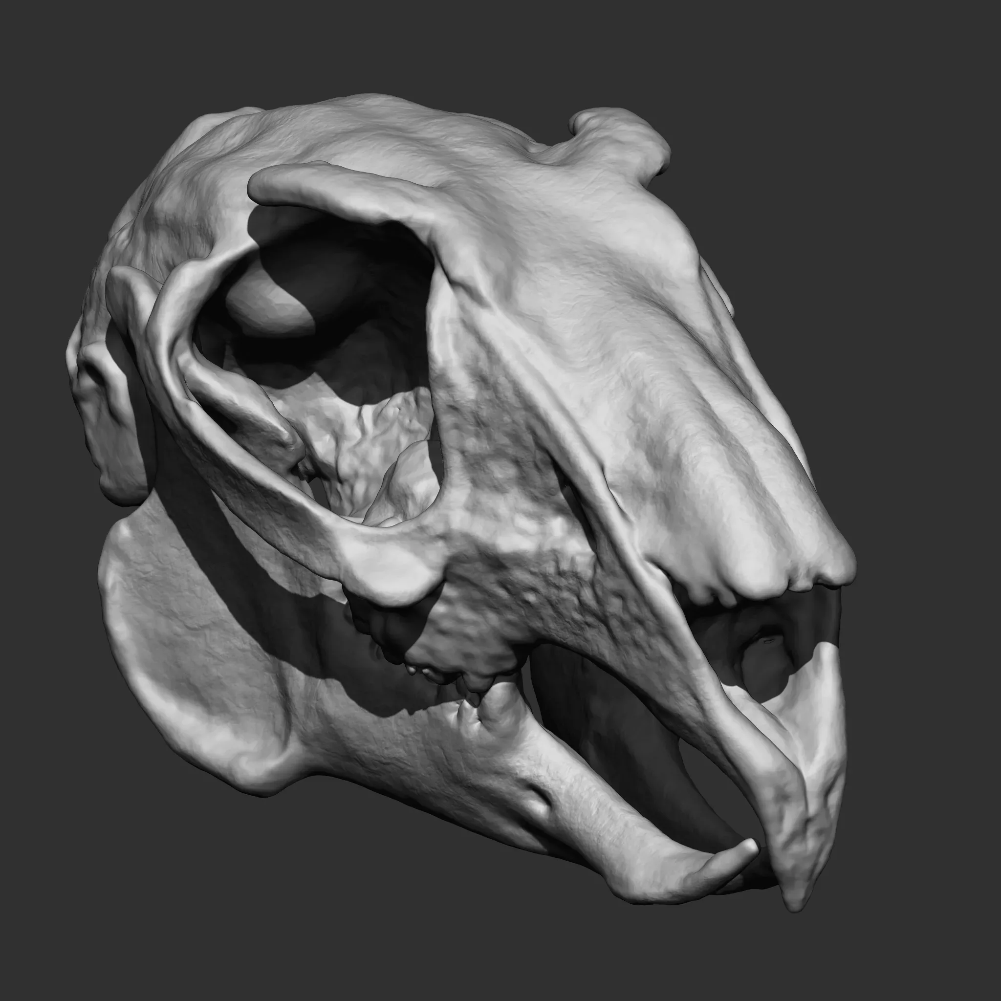 Animal Bones Collection IMM\Stl\Obj Brush Pack 21 in One Vol.1