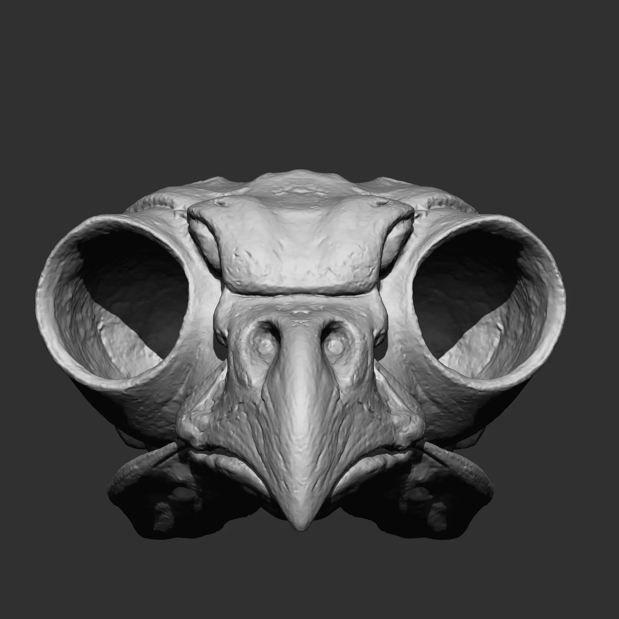 Animal Bones Collection IMM\Stl\Obj Brush Pack 21 in One Vol.1