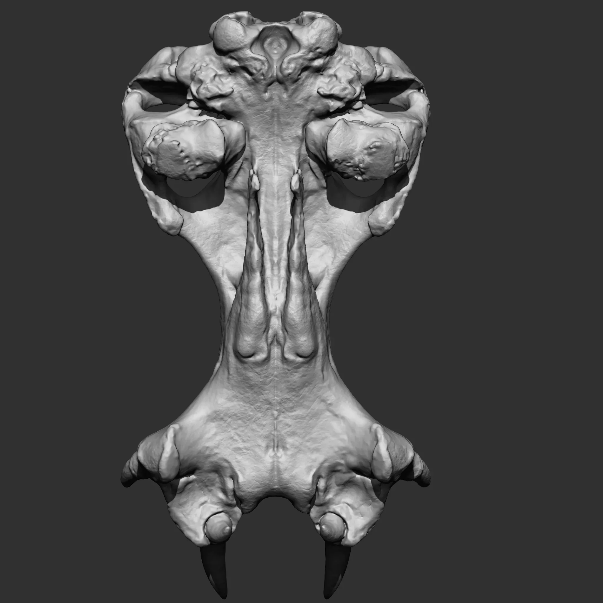 Animal Bones Collection IMM\Stl\Obj Brush Pack 21 in One Vol.1