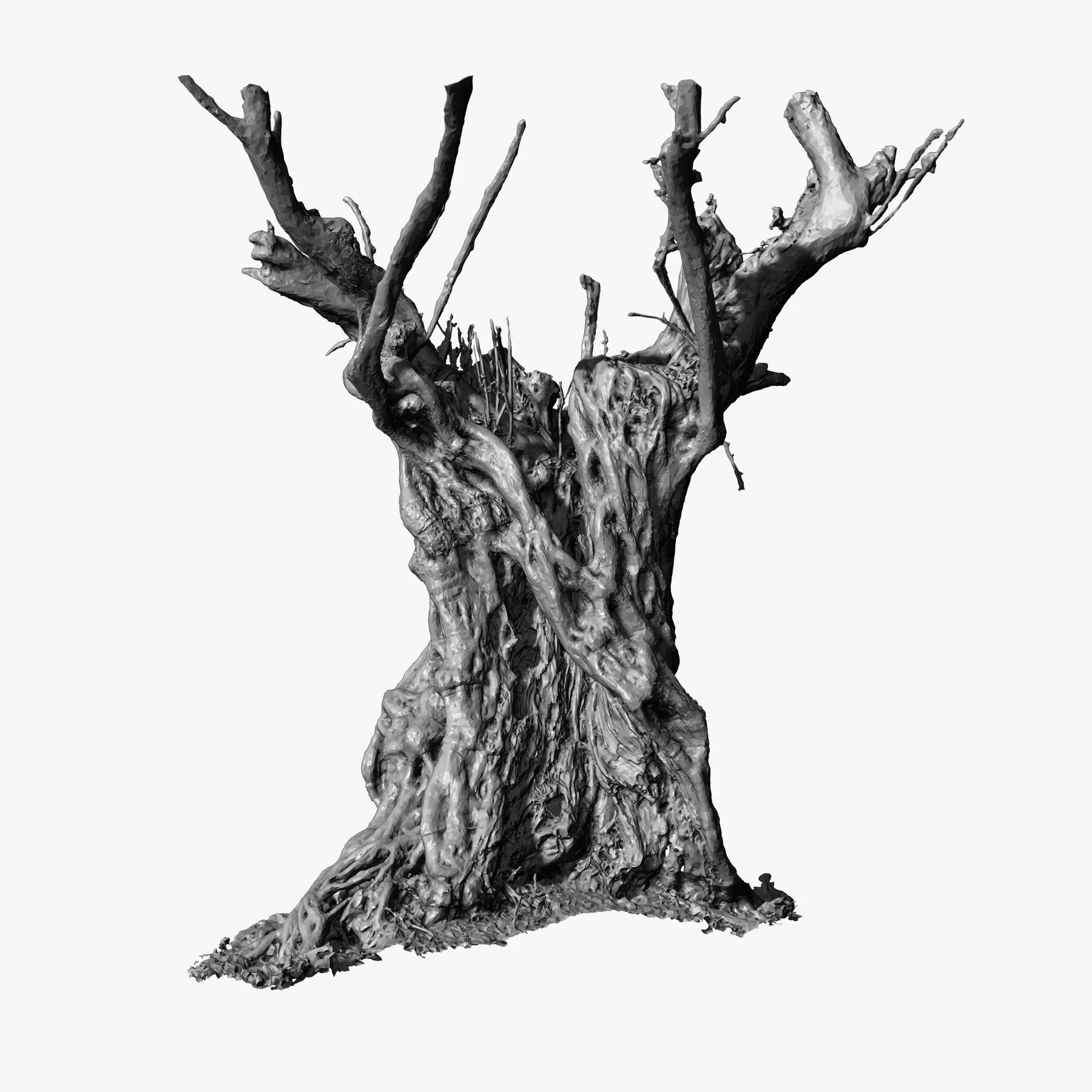 Massive Ancient Cracked Olive Tree #4 RAW 3D Scan 2x16k \ 1x16k Textures OBJ