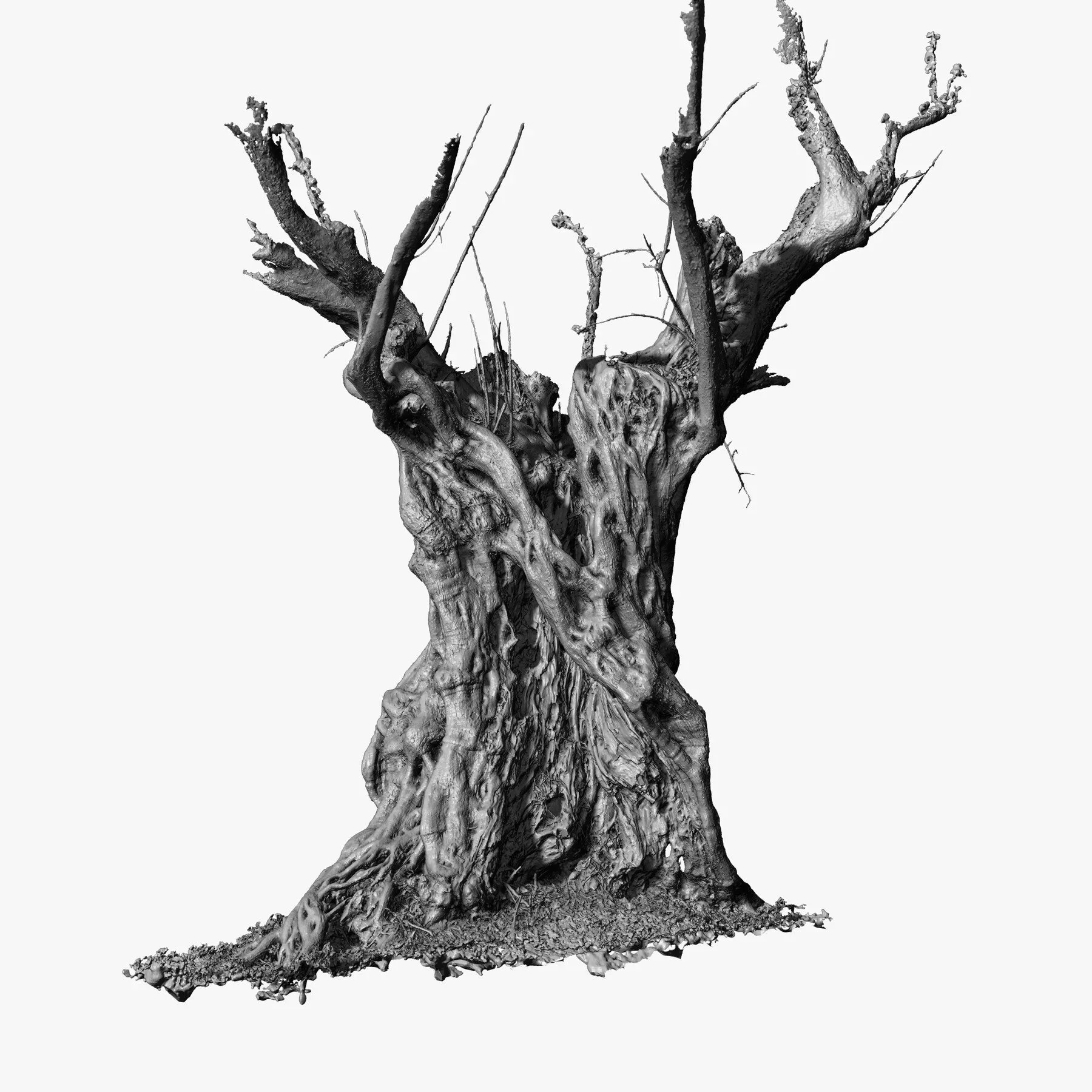 Massive Ancient Cracked Olive Tree #4 RAW 3D Scan 2x16k \ 1x16k Textures OBJ