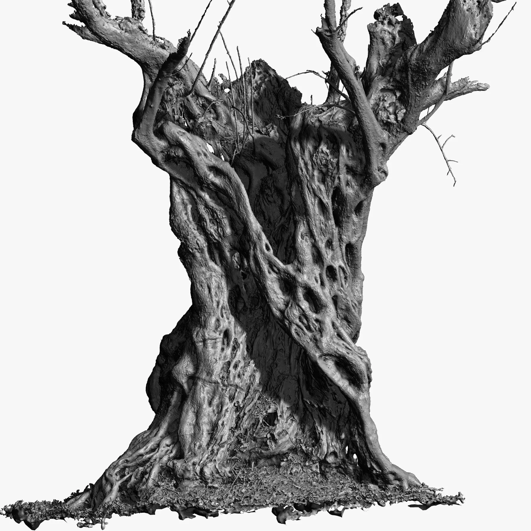Massive Ancient Cracked Olive Tree #4 RAW 3D Scan 2x16k \ 1x16k Textures OBJ