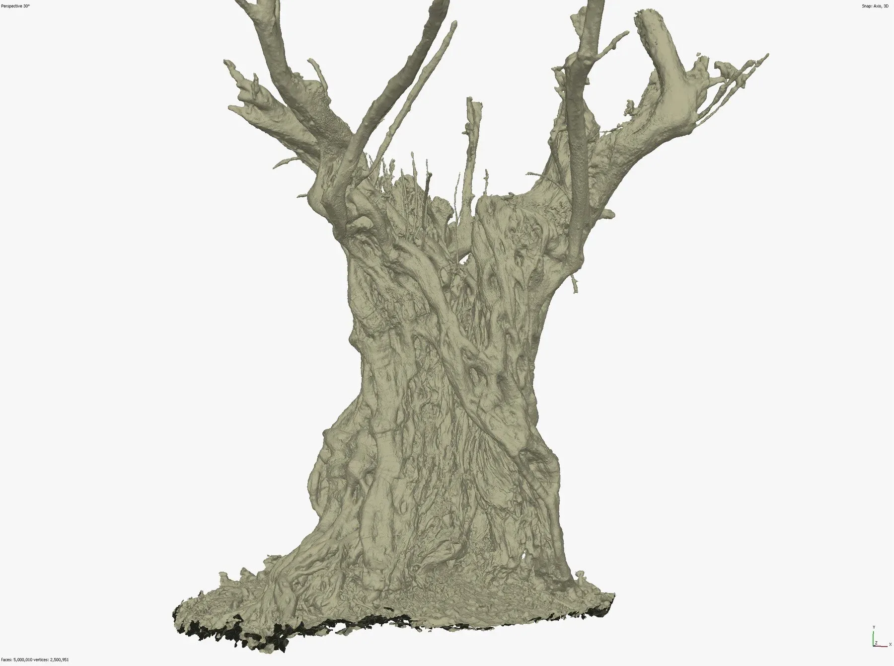 Massive Ancient Cracked Olive Tree #4 RAW 3D Scan 2x16k \ 1x16k Textures OBJ