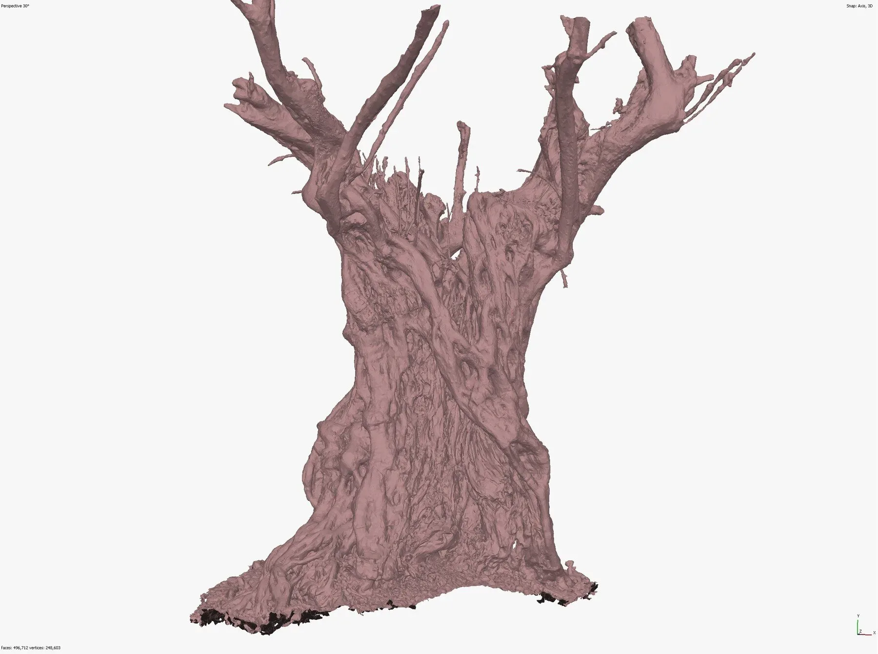 Massive Ancient Cracked Olive Tree #4 RAW 3D Scan 2x16k \ 1x16k Textures OBJ