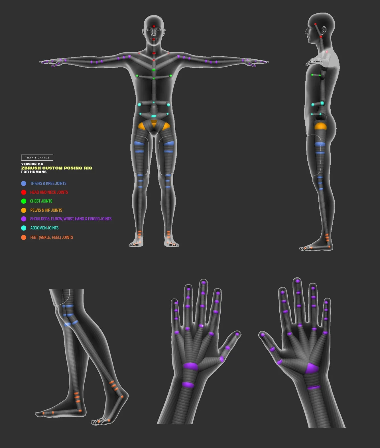 Custom Posing Rig Tool for Humans - ZBrush